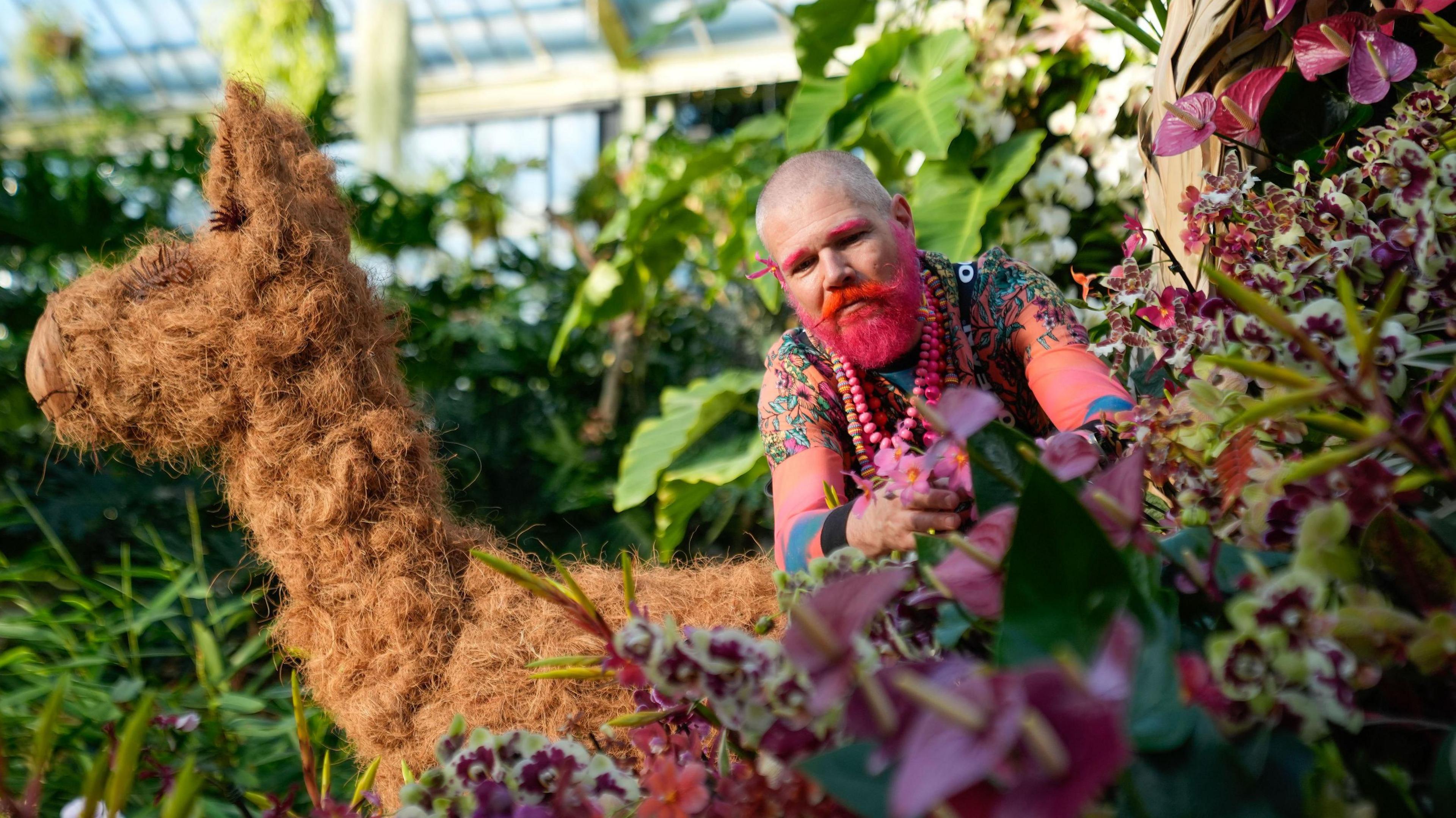 Man with pink facial hair tends to some flowers of the same hue.