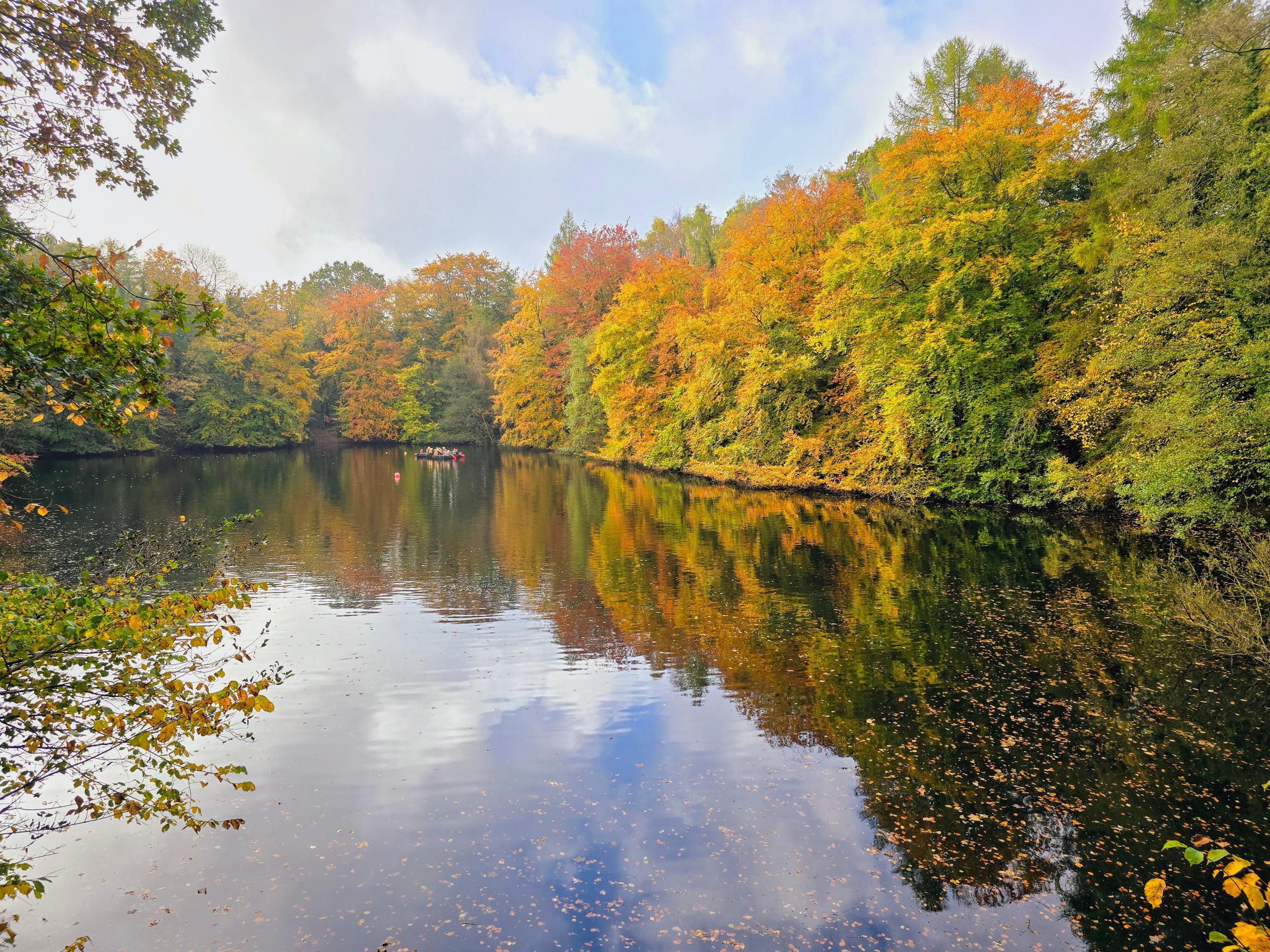 Mature trees with leaves in a range of yellow, orange, brown and green shades, reflected in a still body of water under a blue but cloudy sky. In the distance, a group of four canoes each with two to four people in are just visible. 