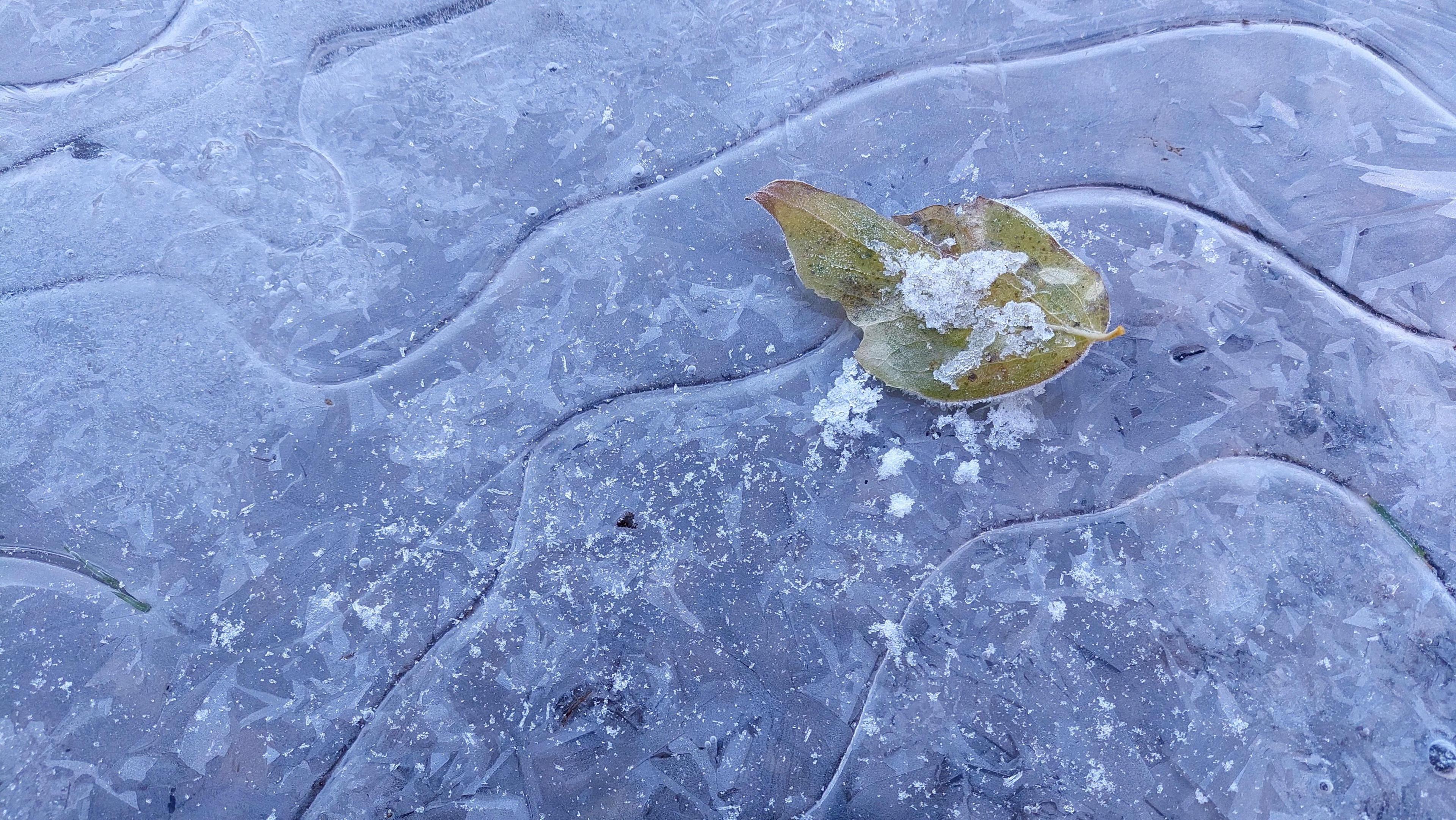 An icy surface dominates the shot, with contour-like lines flowing across it, and crystalline formations visible beneath the surface. A solitary leaf, itself covered with ice crystals, sits right of centre.