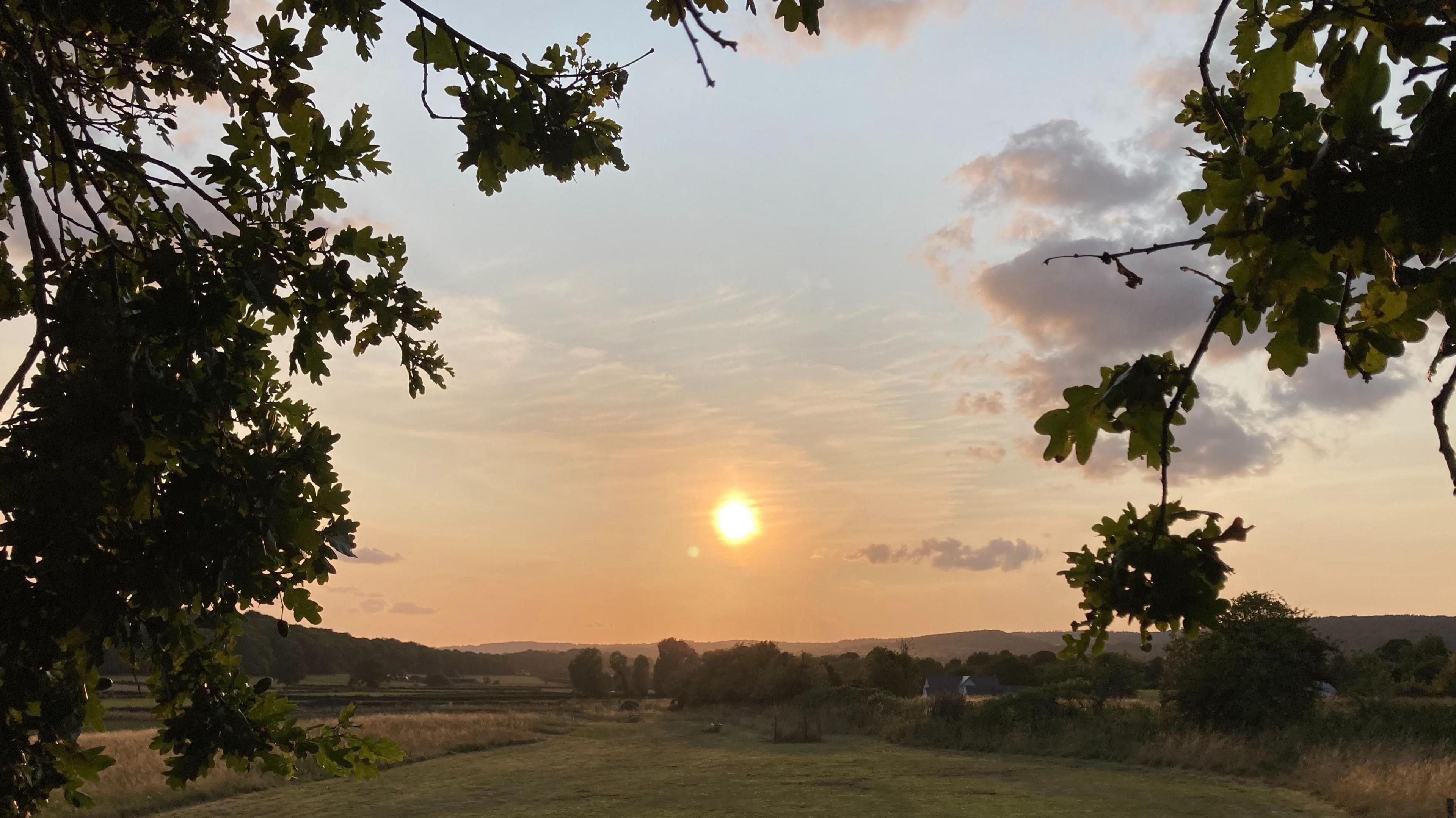 Sunset over empty green fields dotted with trees. The leaves of an oak tree hang in the foreground while silhouetted hills can be seen on the horizon. 