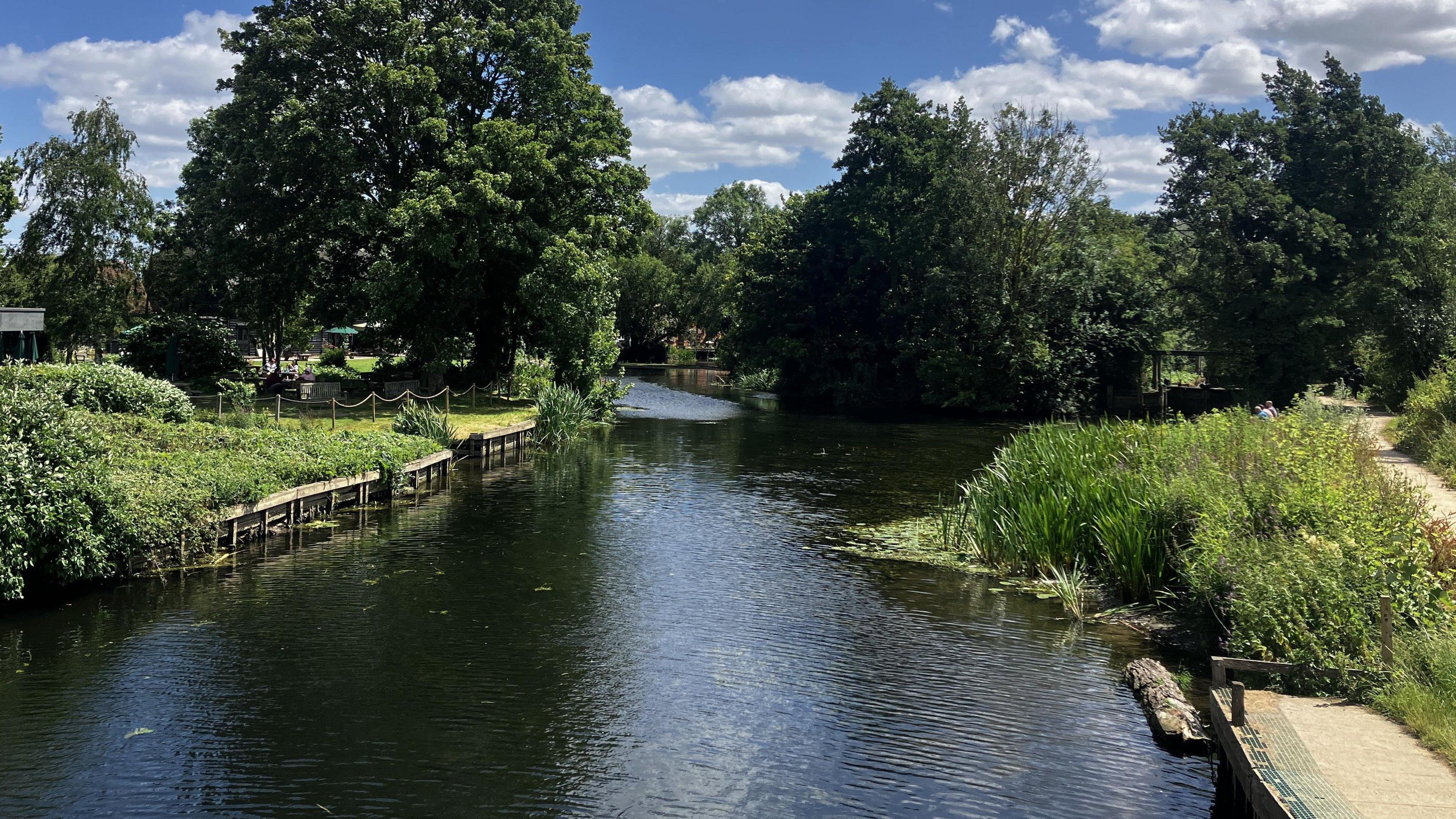 A leafy part of the River Stour captured on a bright, sunny day. Trees and greenery adorns either side of the river and on the right is a footpath. 