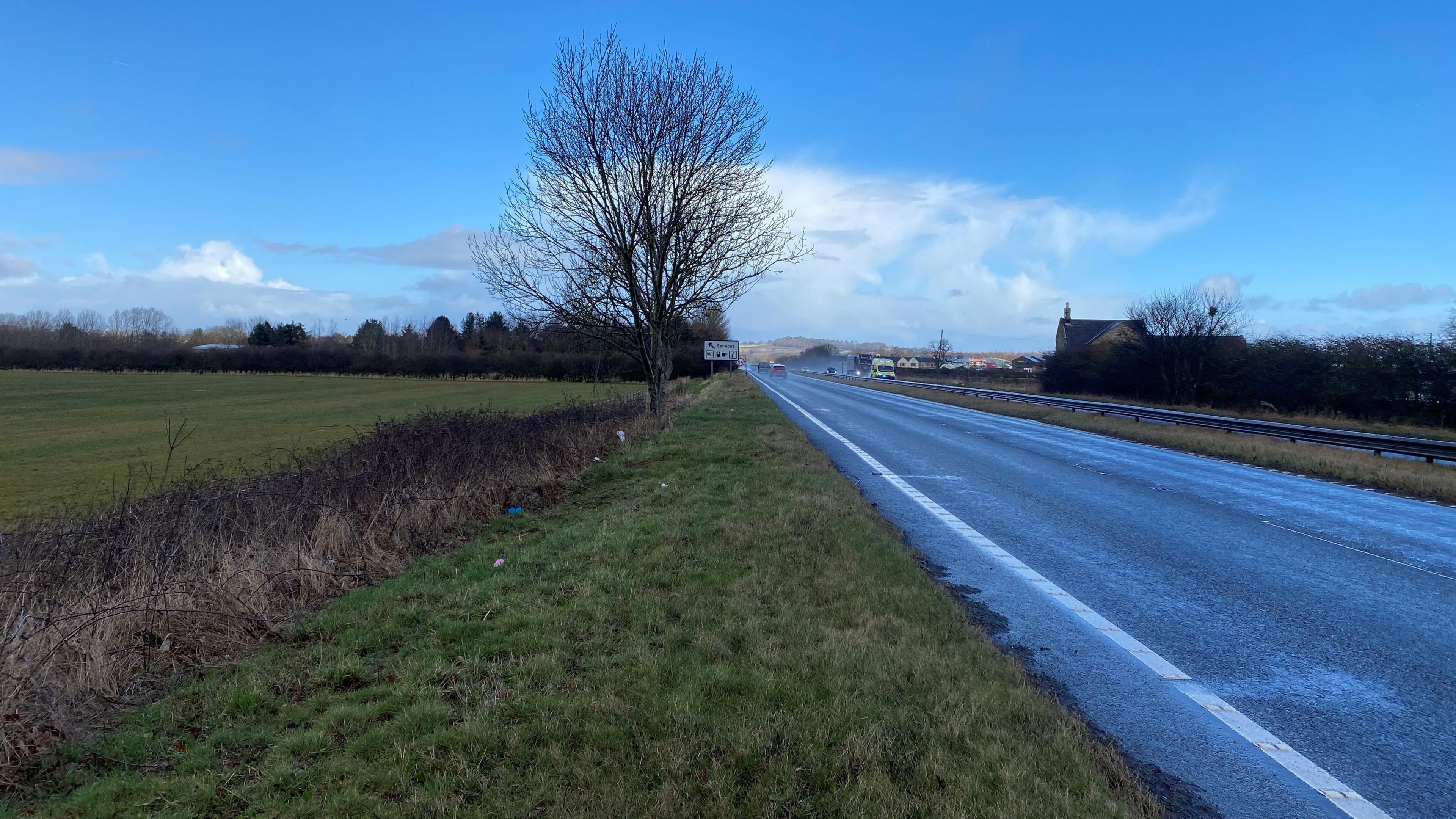 A stretch of the A1 near Alnwick. There are two lanes on the left-hand side of the central reservation. A grassed area and trees are to the left of the road.