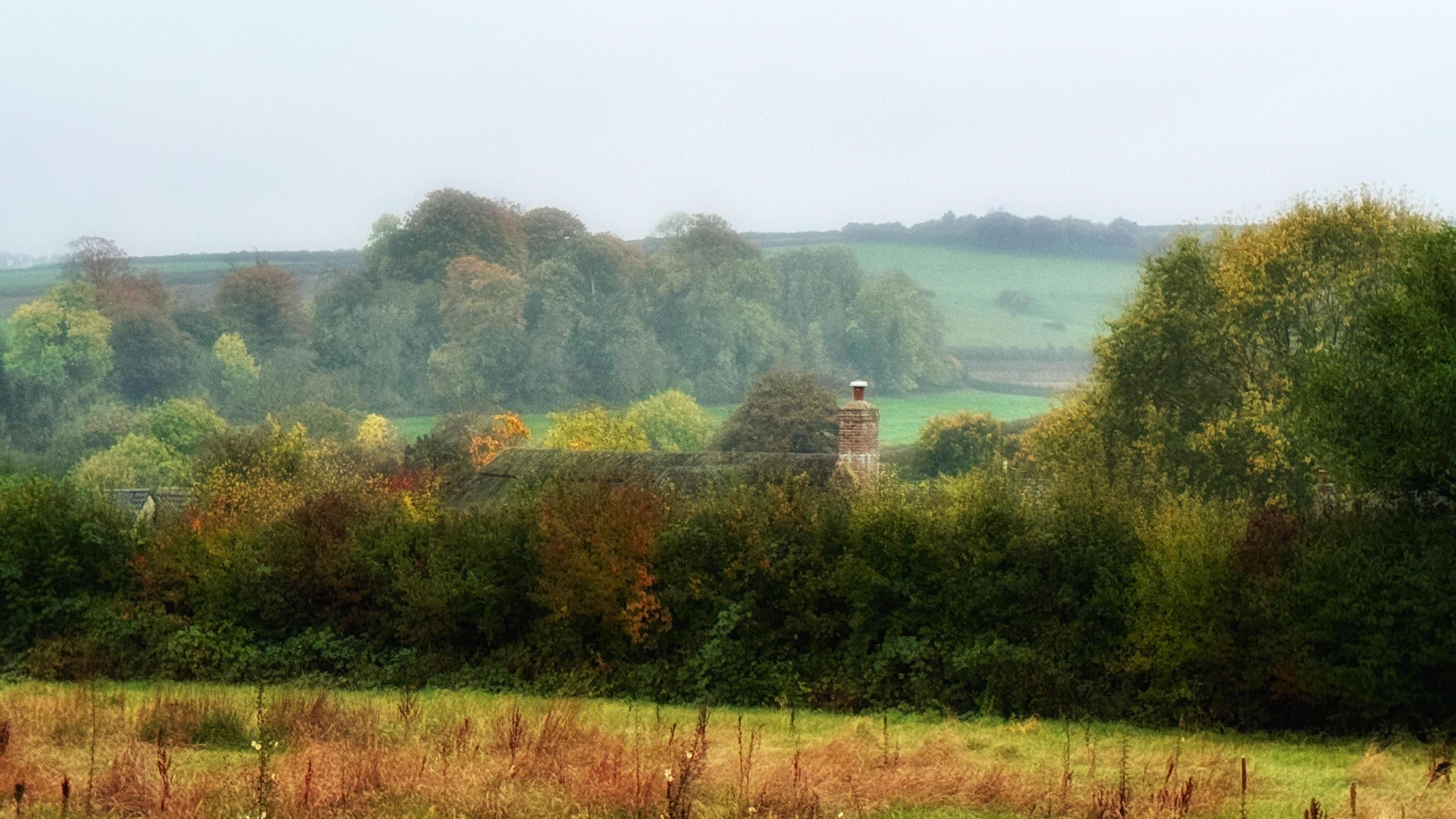 Trees and rolling hills in autumn colours on a drizzly looking early morning at Piddlehinton, Dorset.