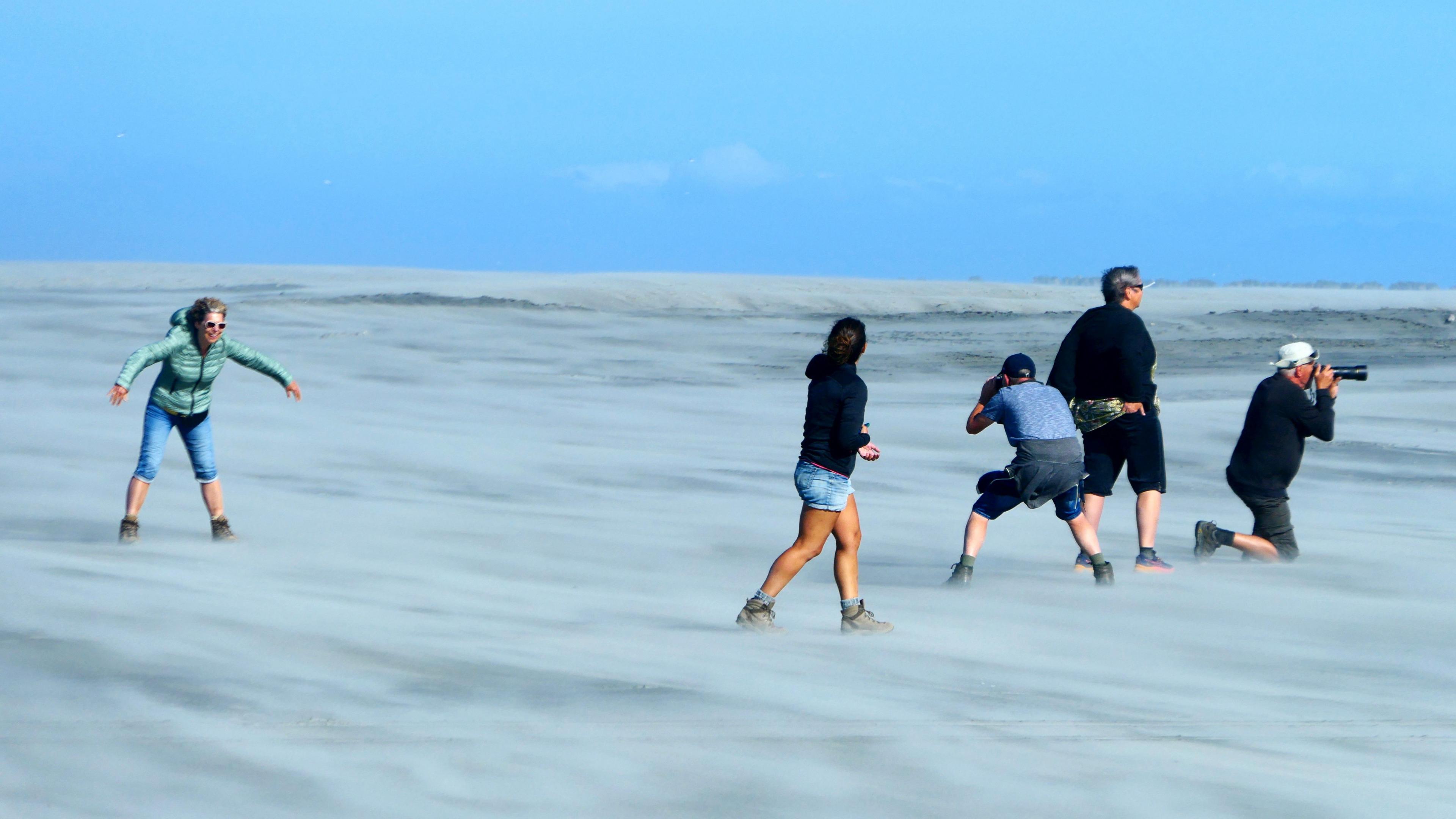 People take pictures on a windswept beach