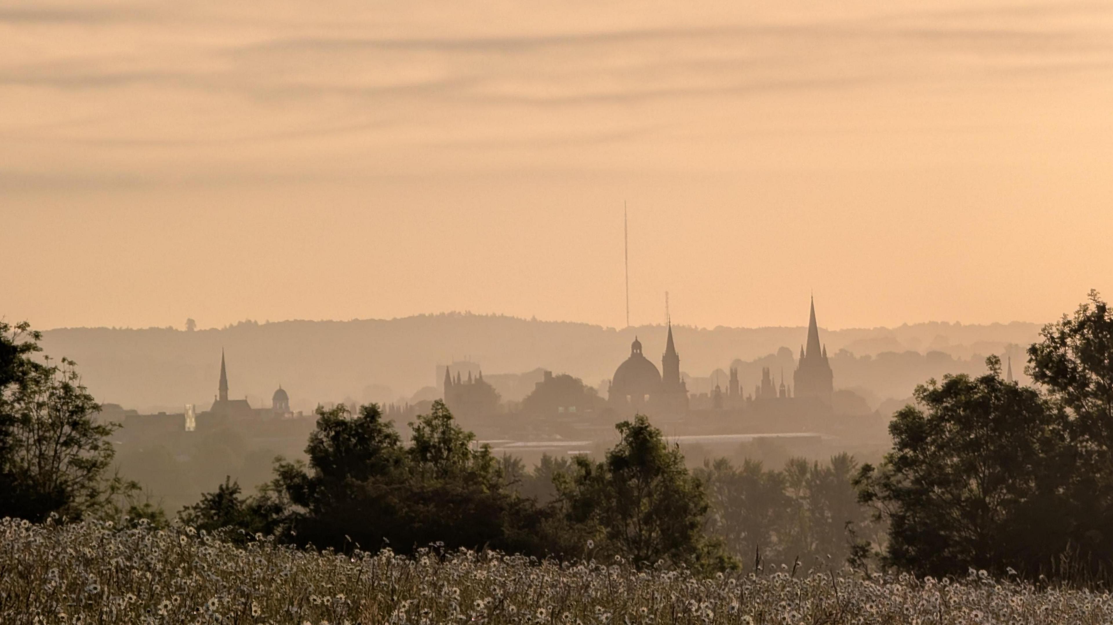The Oxford skyline and the silhouettes of the spires of college's taken across a meadow and trees at sunrise