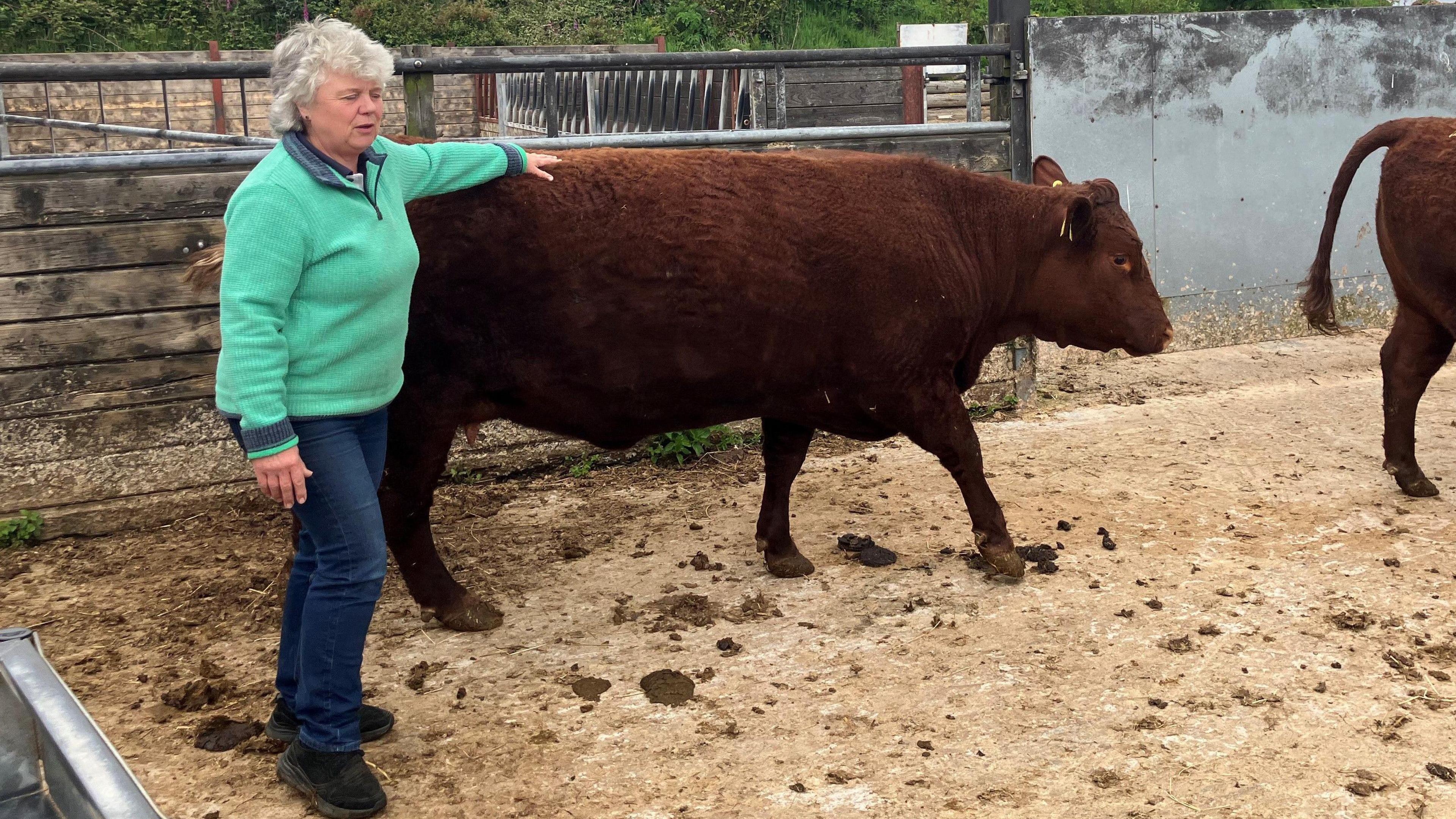 Woman and cow