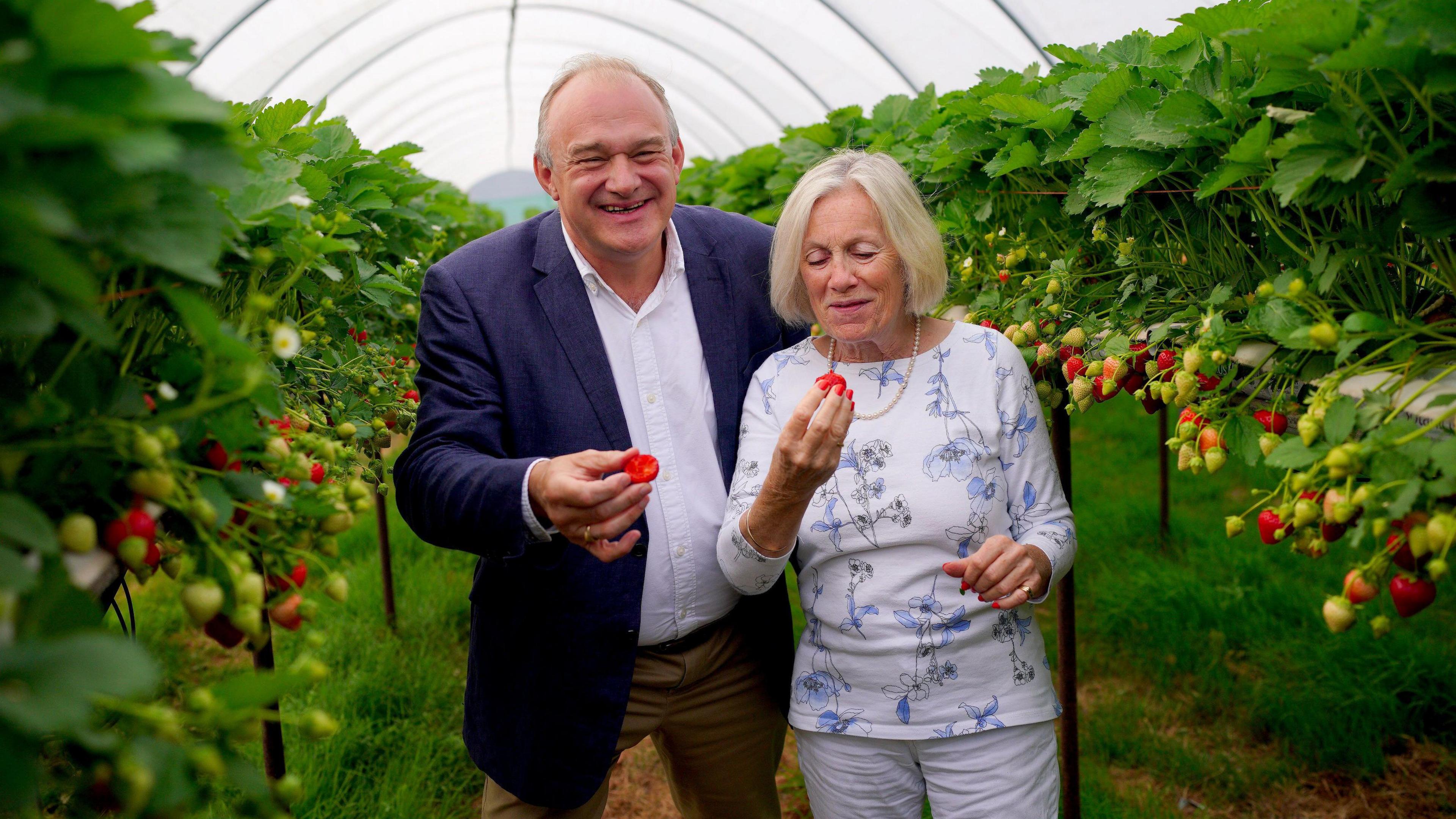 Ed Davey and Tessa Munt are standing in a poly tunnel with strawberries growing around them. They are each holding a strawberry in their hand and smiling.