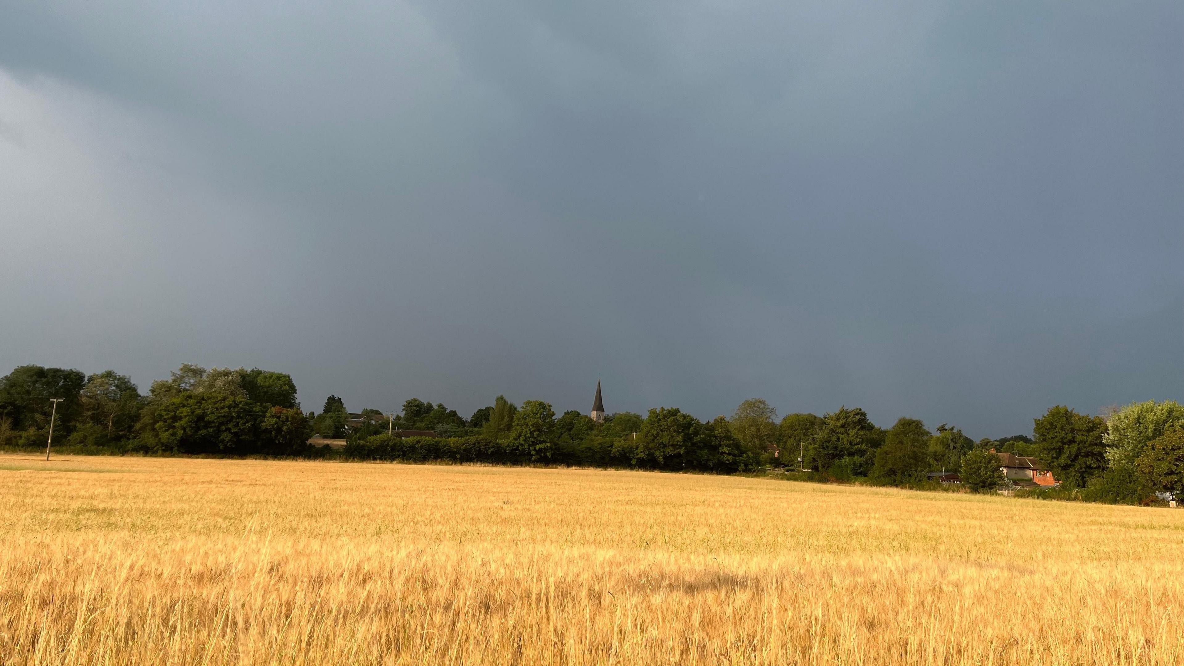 A dark and cloudy sky overlooks a row of trees with a spire poking through in the middle with a field in the foreground