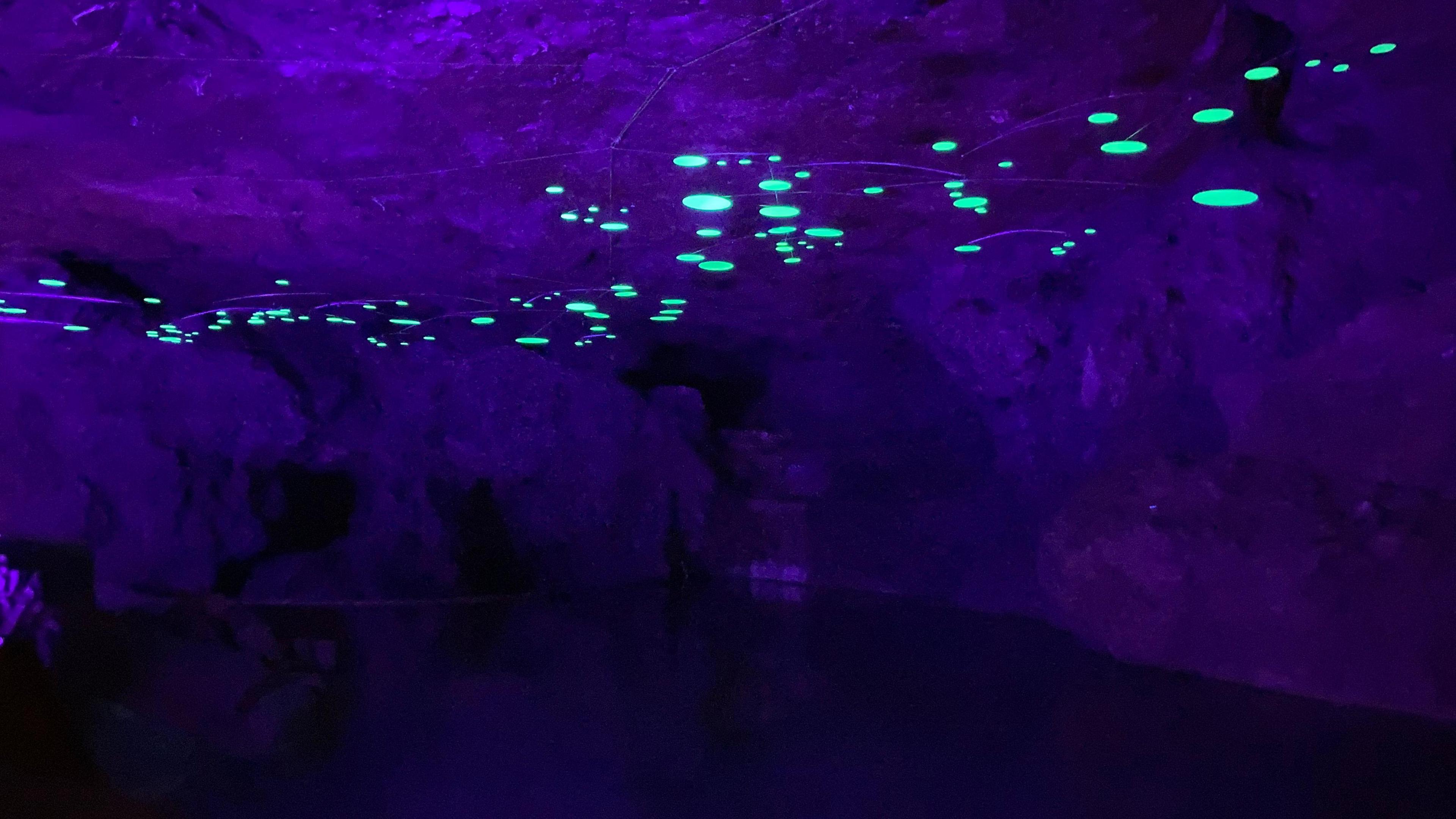 A dark cave which is lit purple, with neon green spots on its ceiling.
