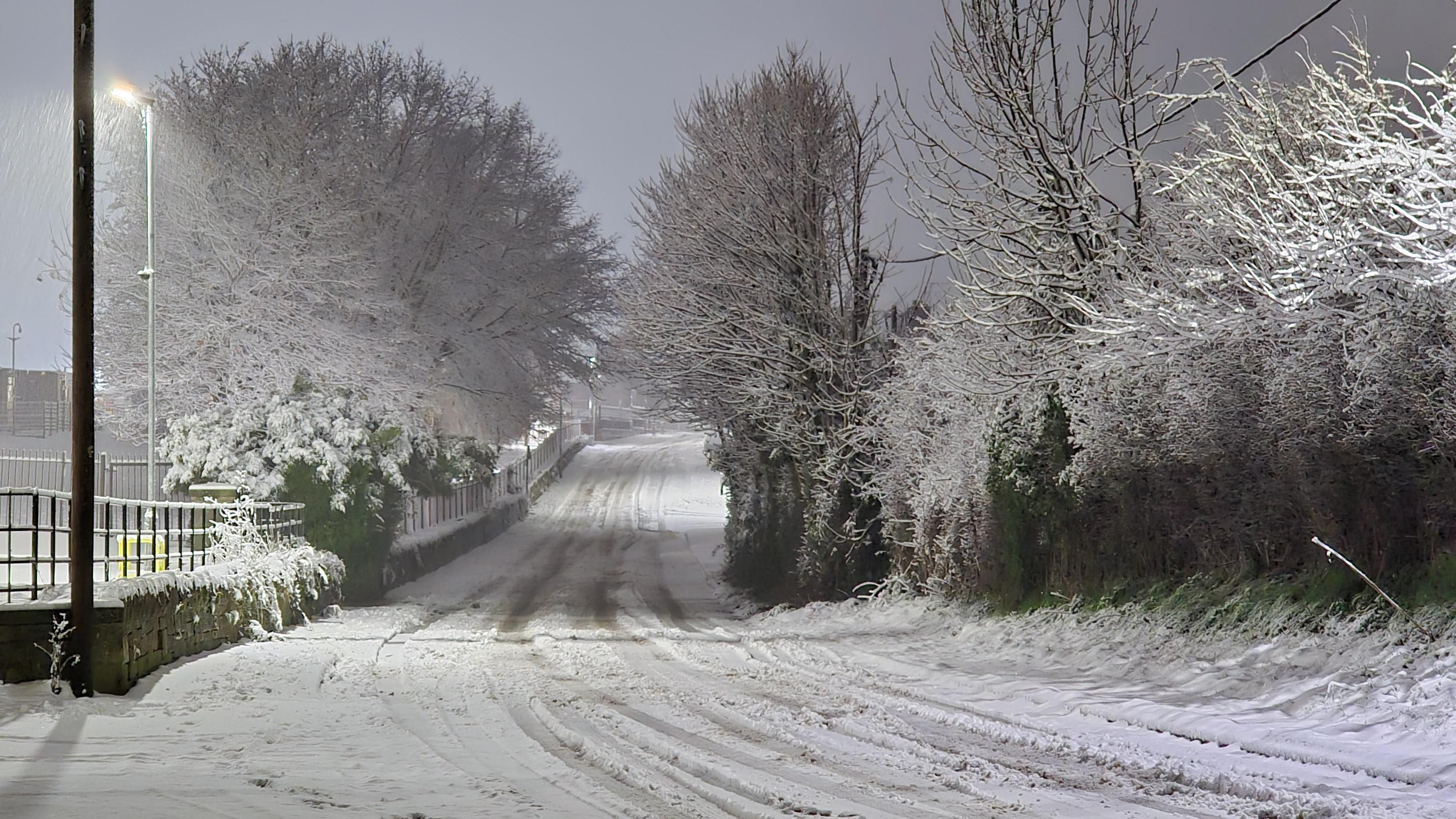 A tree lines road and night lit by streetlights. The road is covered in snow with tracks from vehicles that have driven through. The tree branches verges and a fence along one side of the road are also covered in snow.