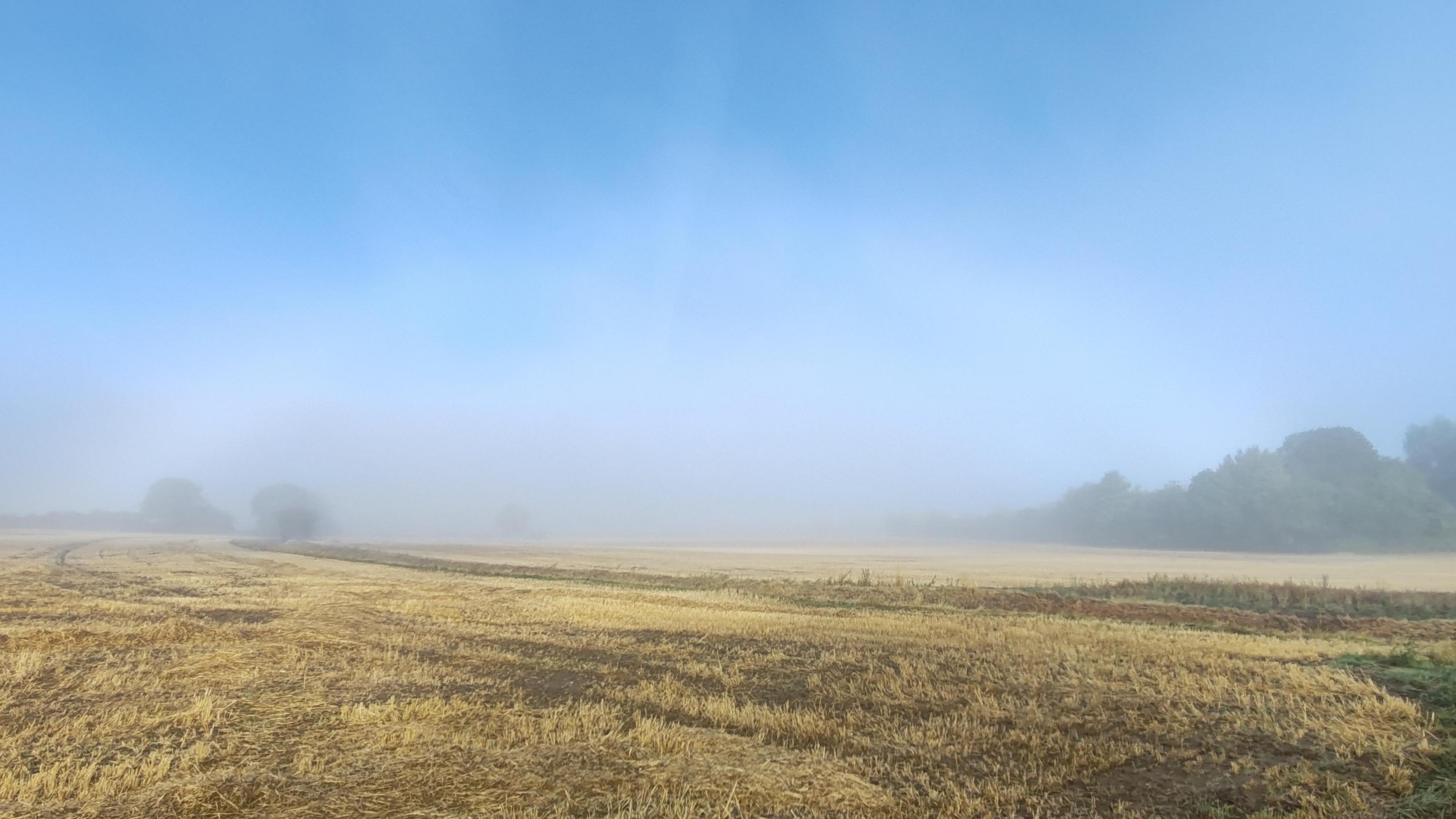 A fogbow is forming in the midst the fog over a field