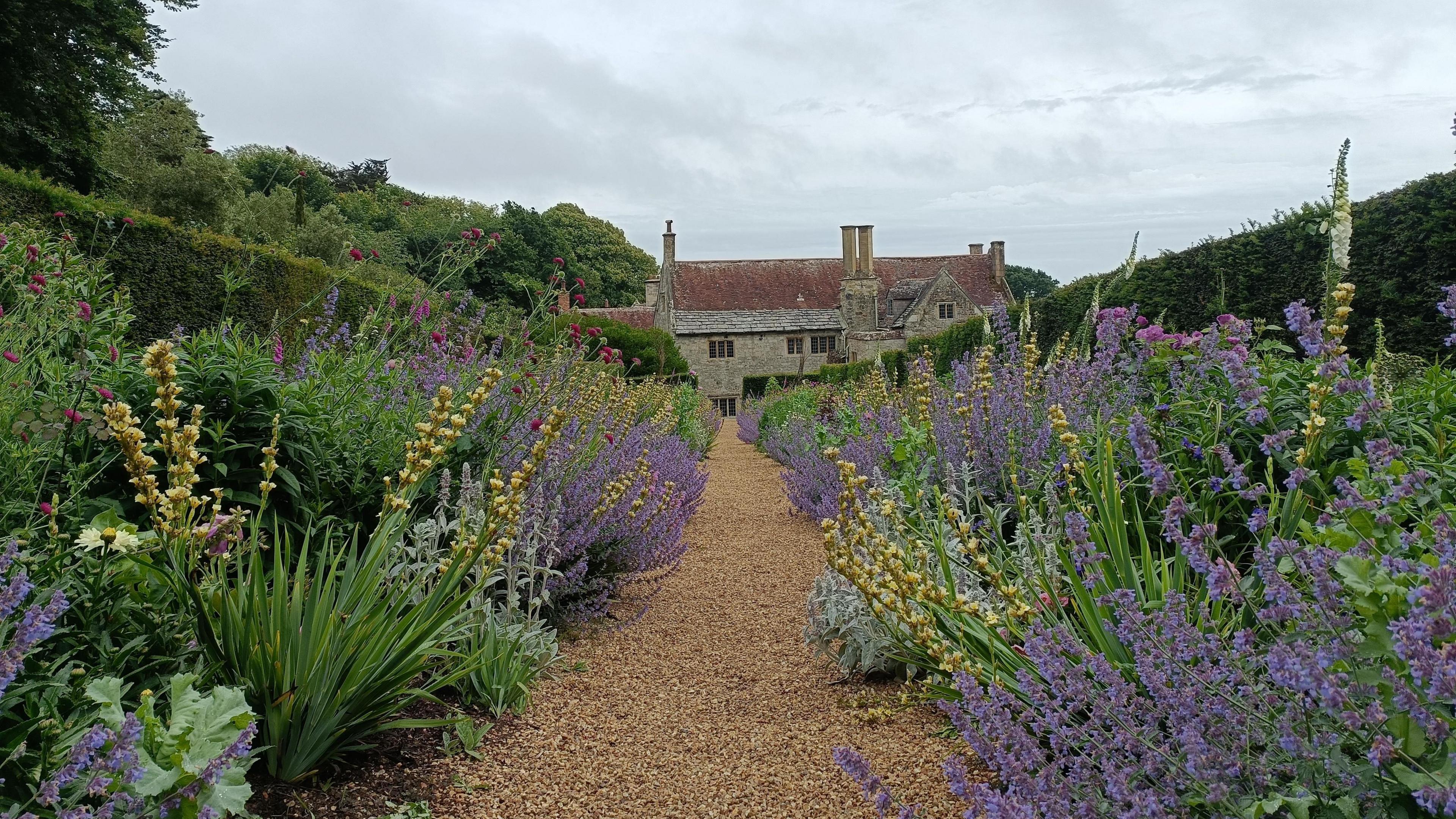 A gravel path runs between two large flower beds full of purple and yellow flowers. At the end of the path is a grey stone building that has red tiles on its roof.