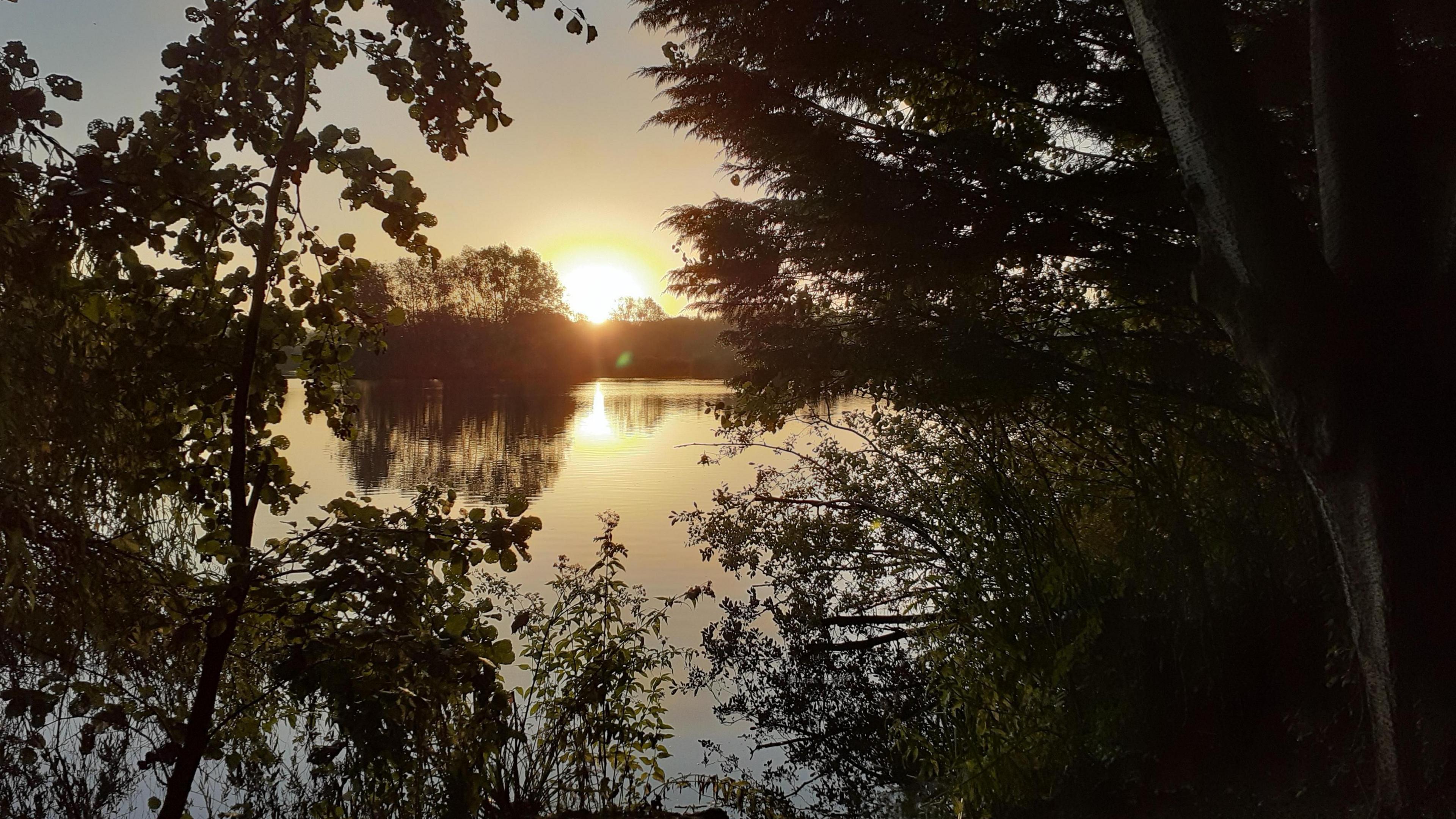 The sun is just rising over a large expanse of water. The yellow light is reflected in the surface of the water as are the trees that line its banks. The trees in the forefront of the picture lean towards each other almost creating an arch over the sun but they do not quite touch