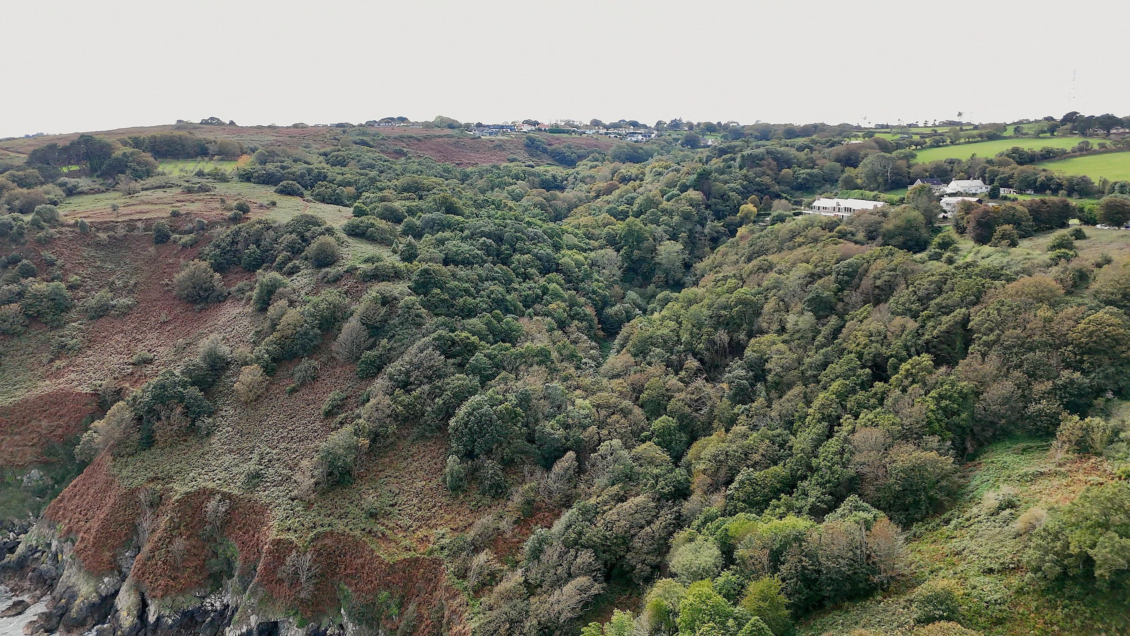 An image taken from a drone showing a woodland with cliff faces. There are two buildings in the background.