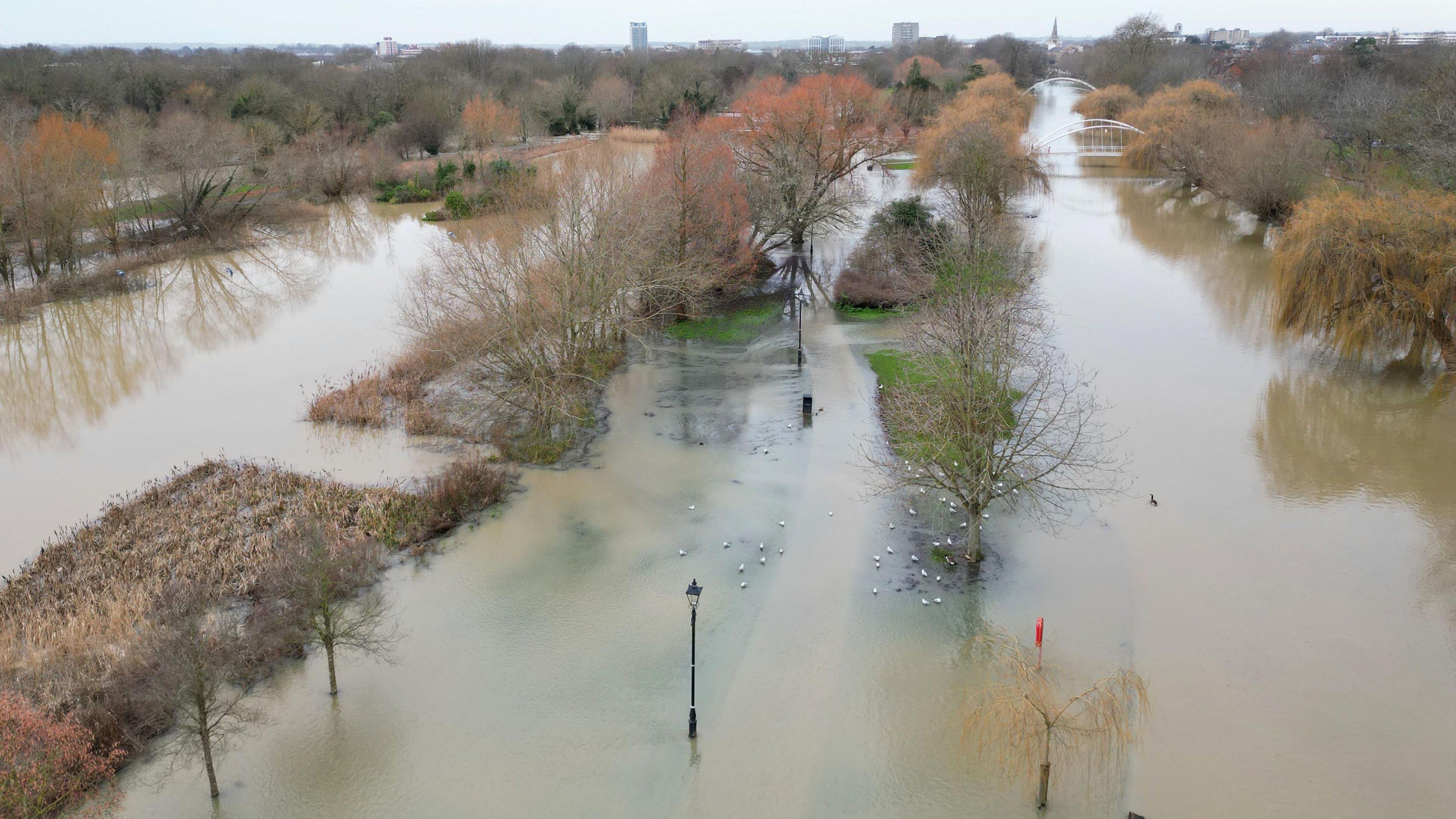 An aerial view of an area is severely flooded, with lamp posts coming out of the water. The water is brown. 