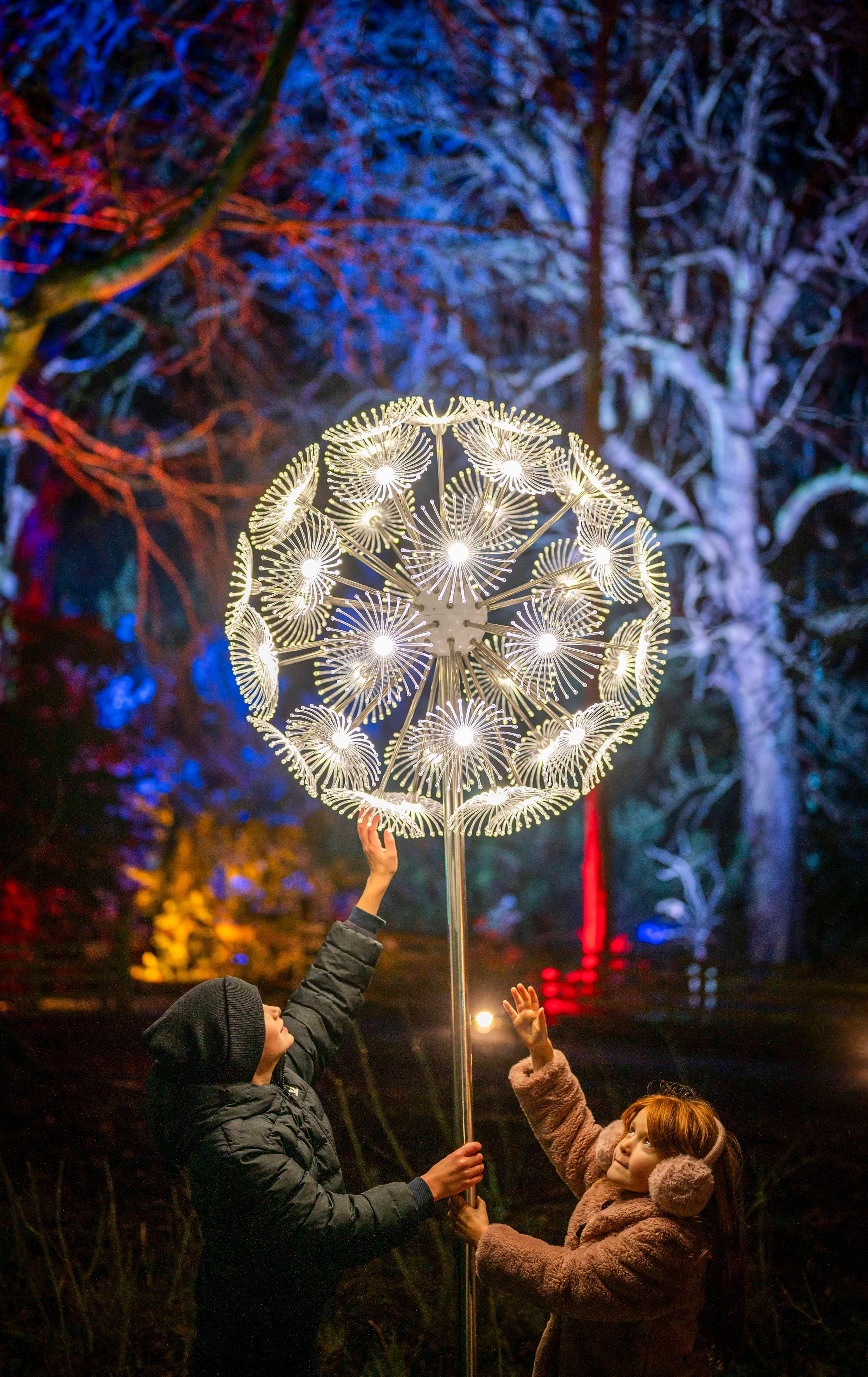 Two children look up at a globe of lights shaped like a dandelion