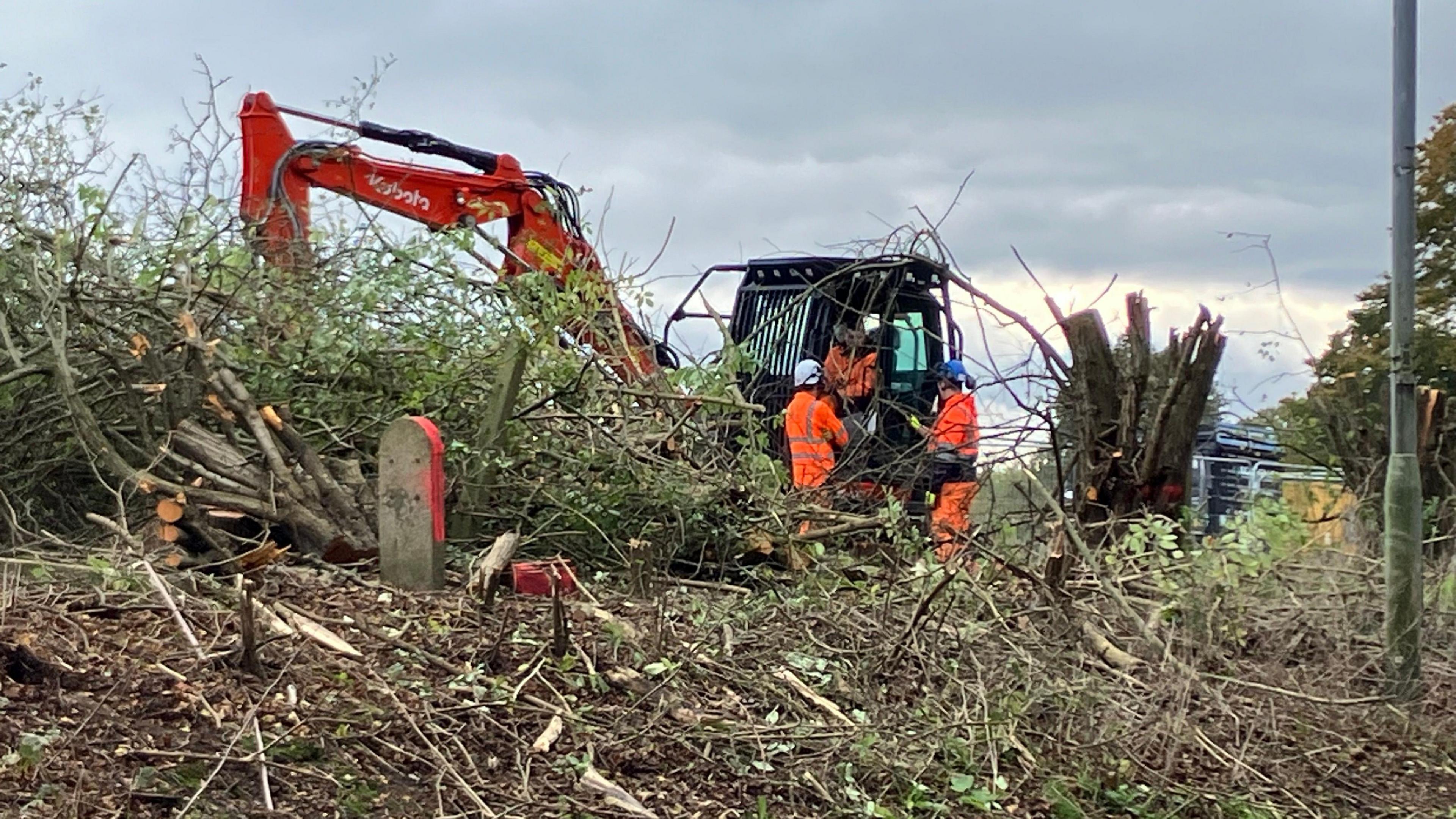 Workers wearing helmets and orange fluorescent overalls are talking to the driver of a large digger which is clearing undergrowth and trees around them 