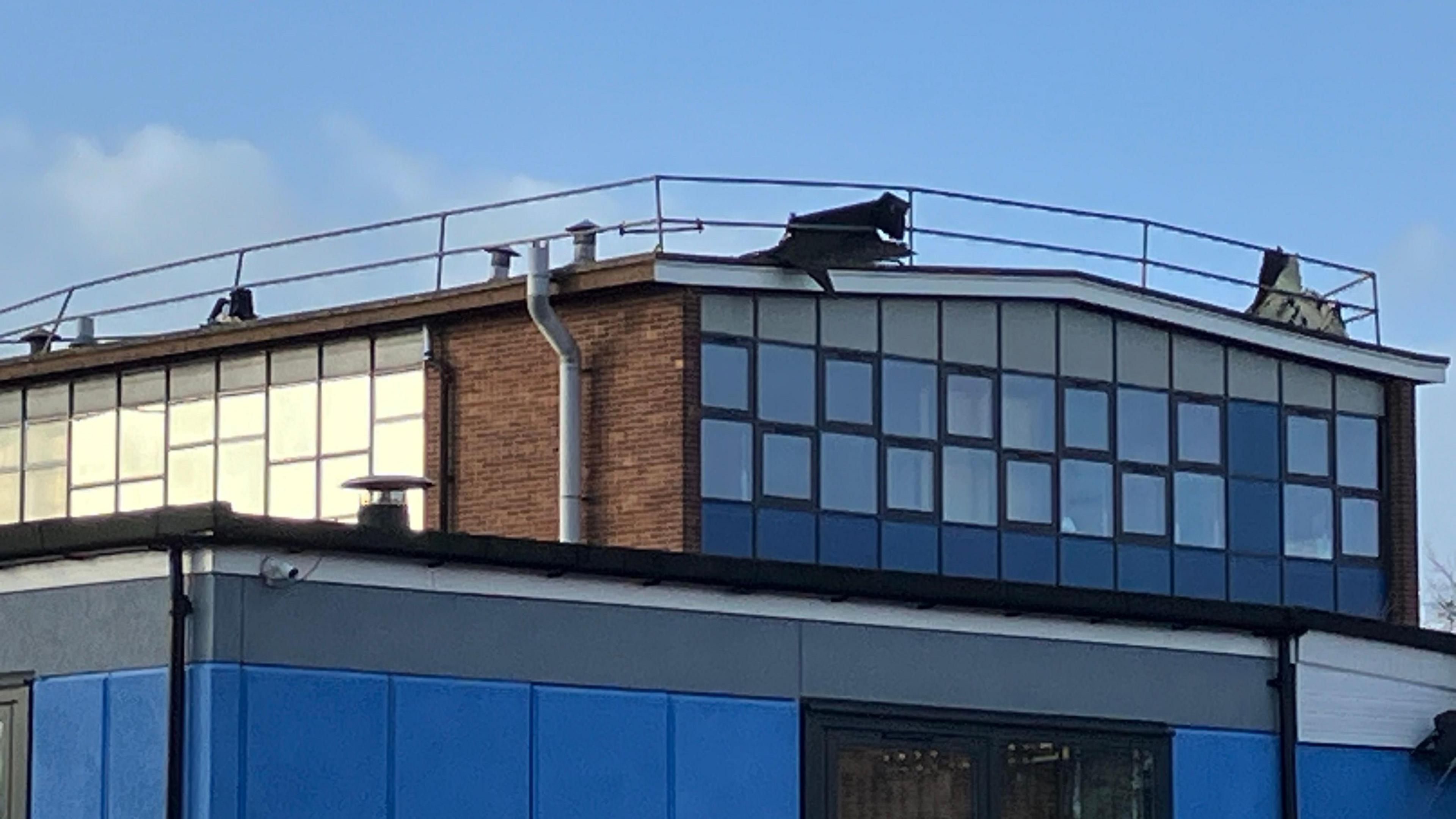 Pieces of metal protruding from the school roof. The building is mostly made of brown bricks and glass.