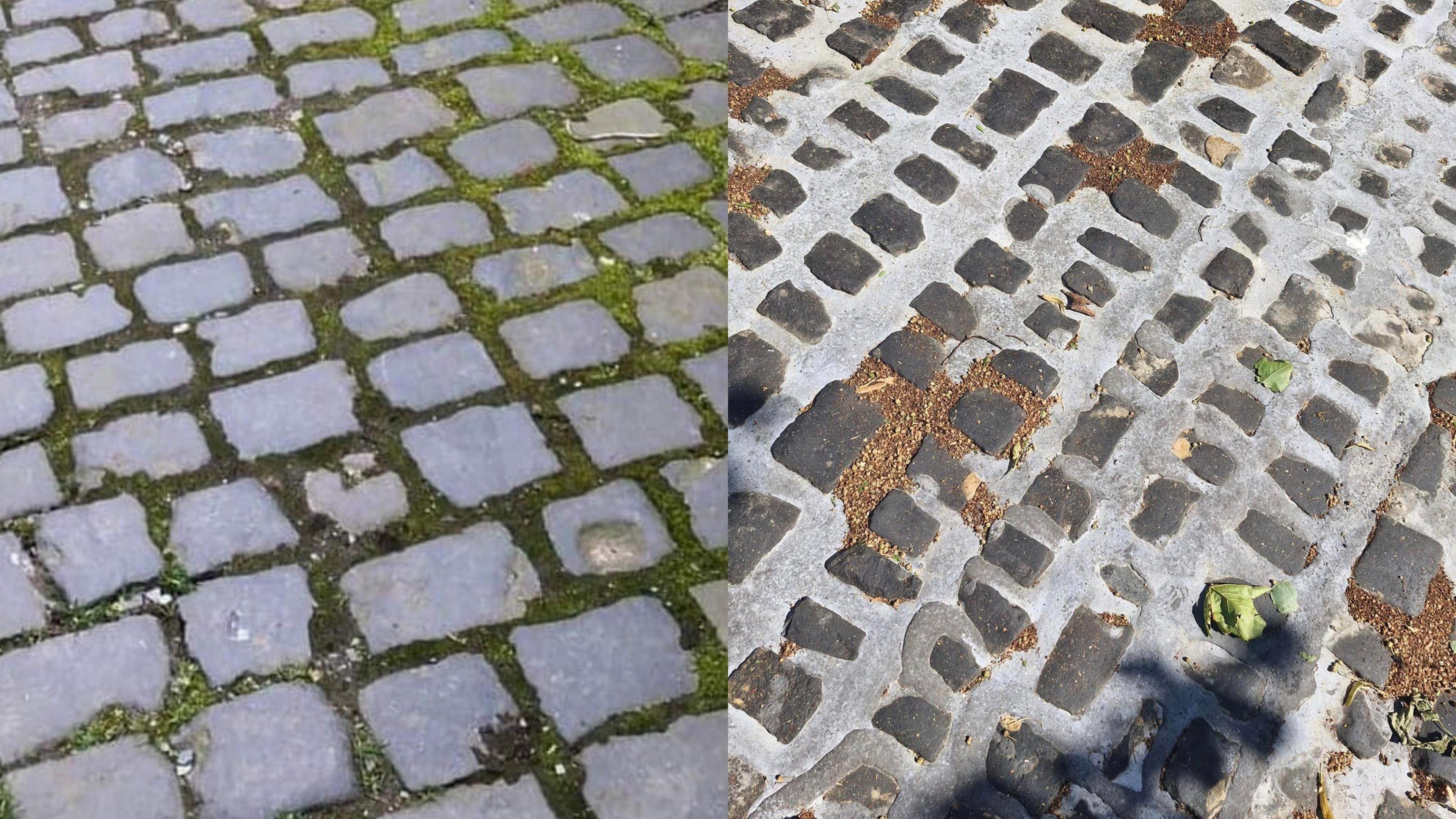 A side-by-side picture of the cobbles before (left) and and after (right).
Before they were a bigger size. The new ones are smaller and surrounded by larger patches of concrete.