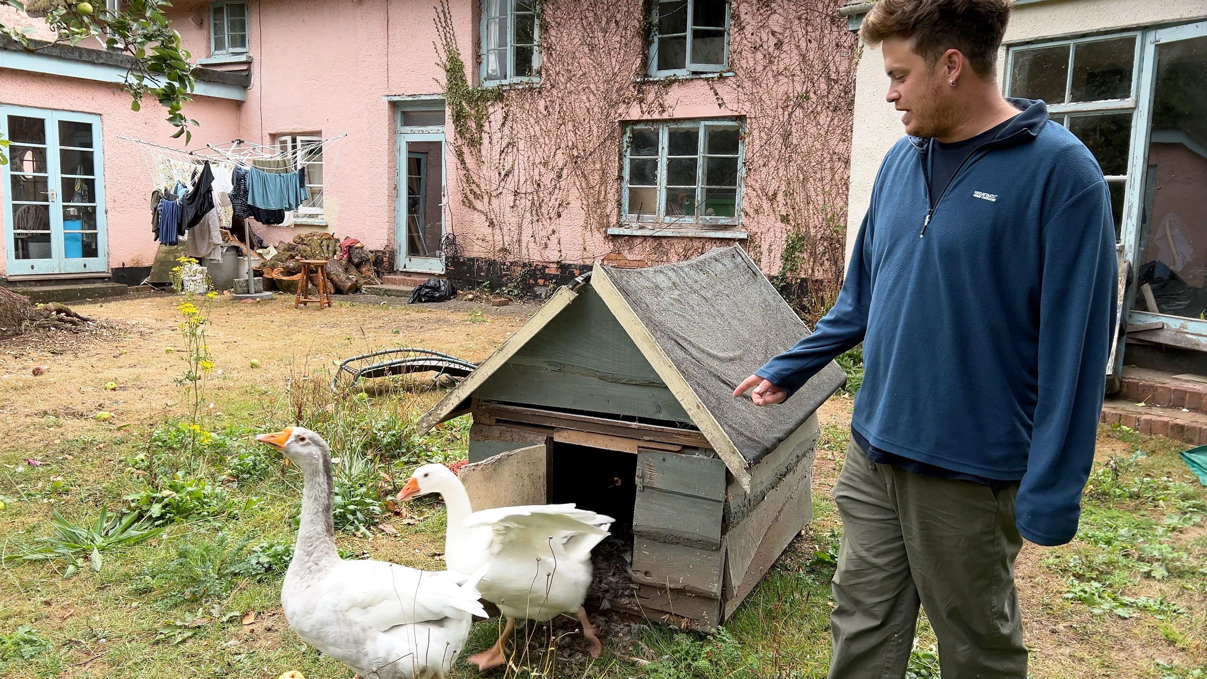 The picture shows a person standing next to a small animal shelter, with two white geese in front of it. In the background, there's an old house with pink walls and several windows. Laundry is hanging on a clothesline, and the yard contains various scattered items, including logs and a stool. The person is dressed in a blue long-sleeve shirt and green trousers.