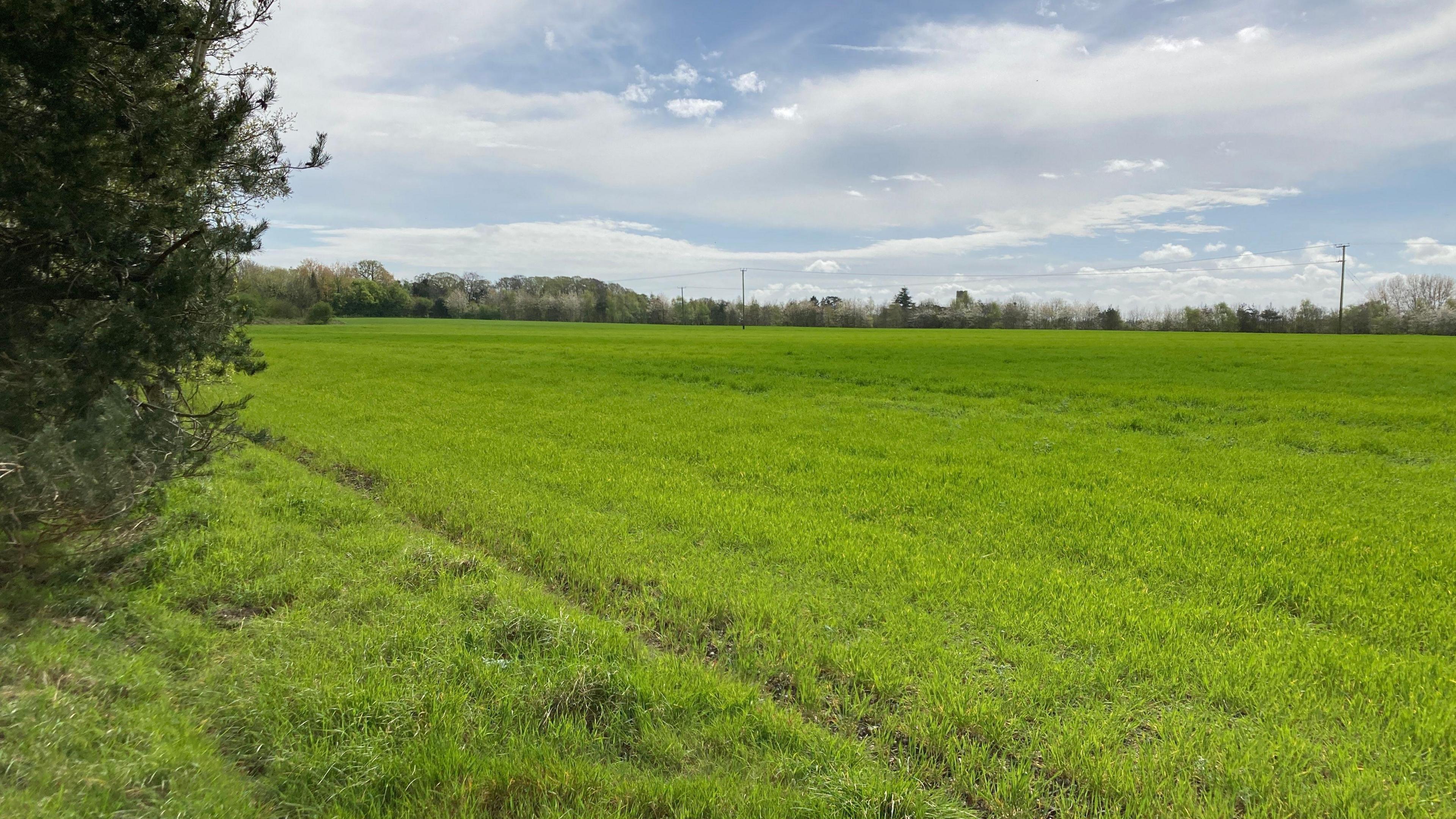 Arable land in Haddiscoe