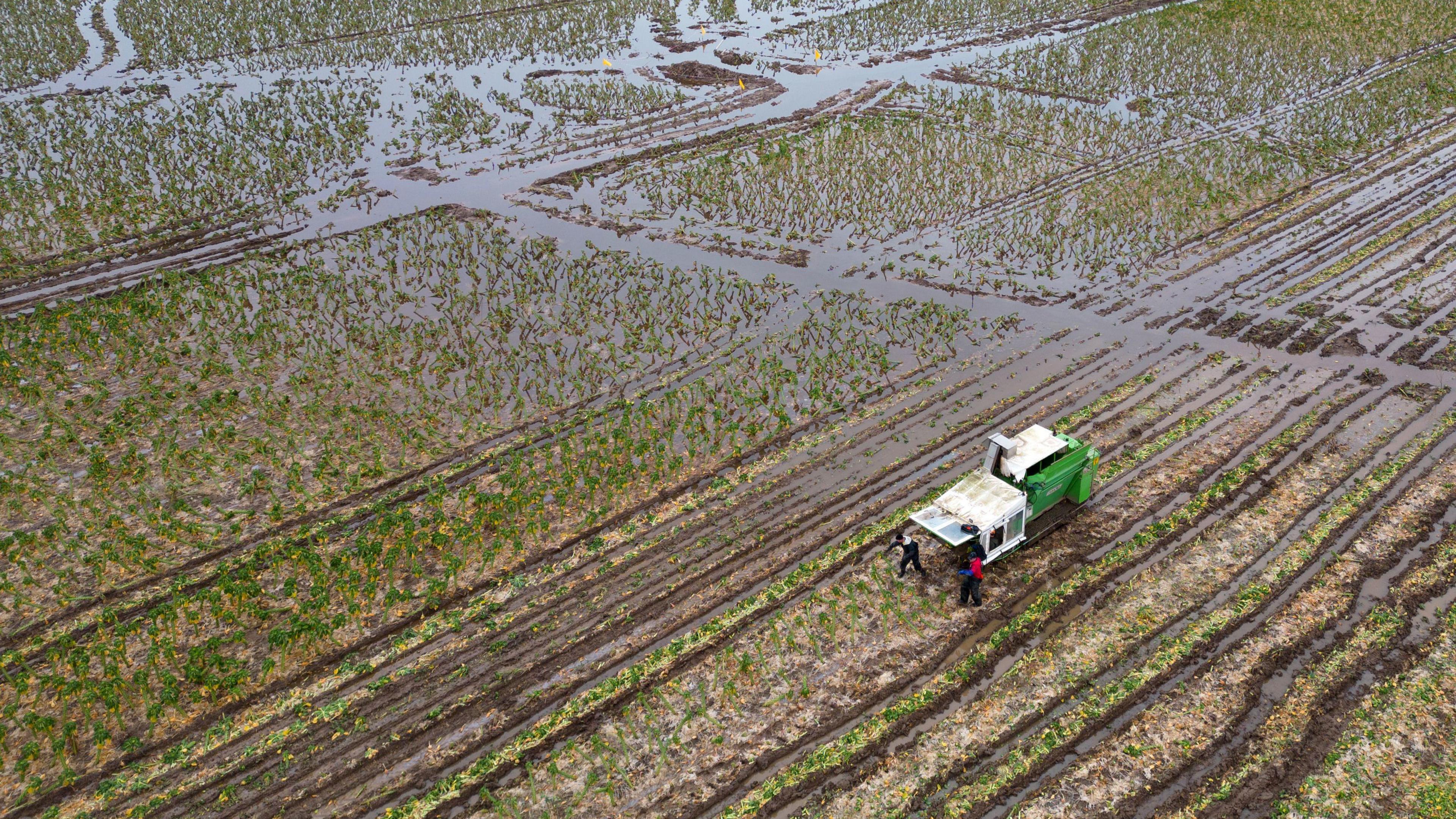 Farming on a field