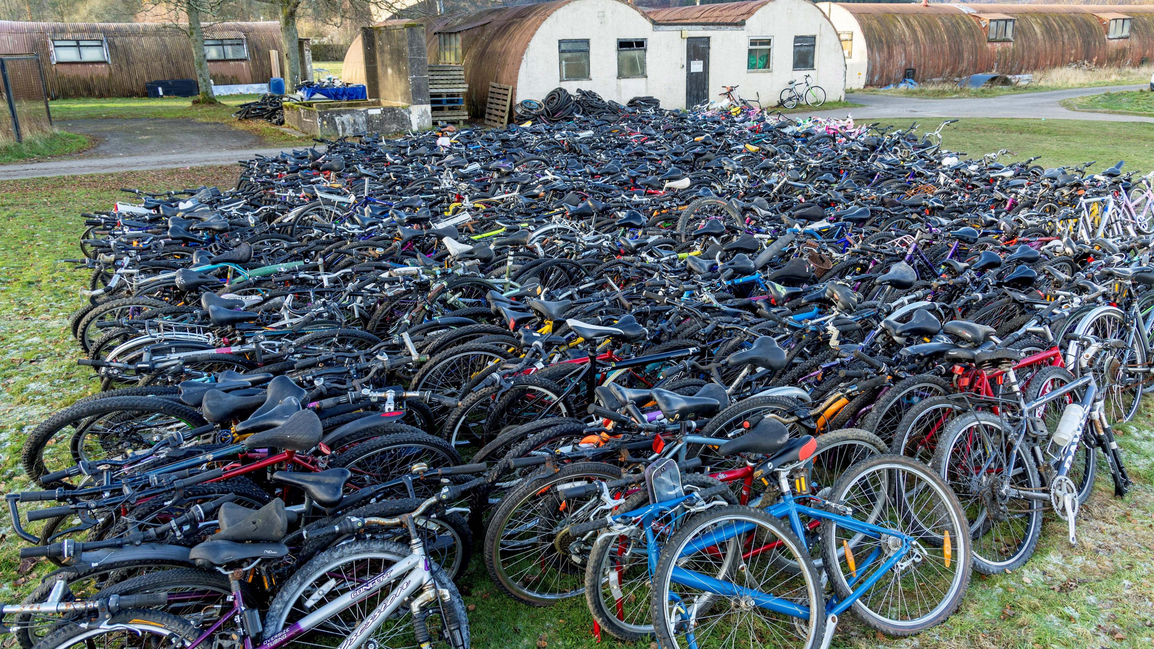 Thousands of bikes lie against each other on grass. 