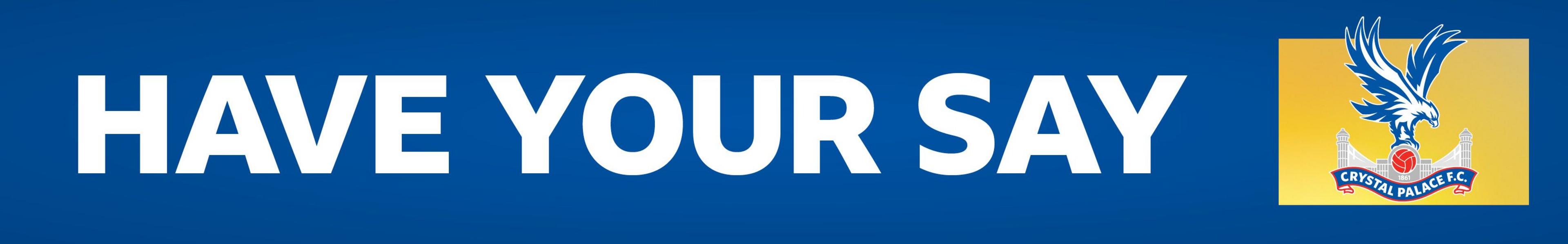Crystal Palace have your say banner