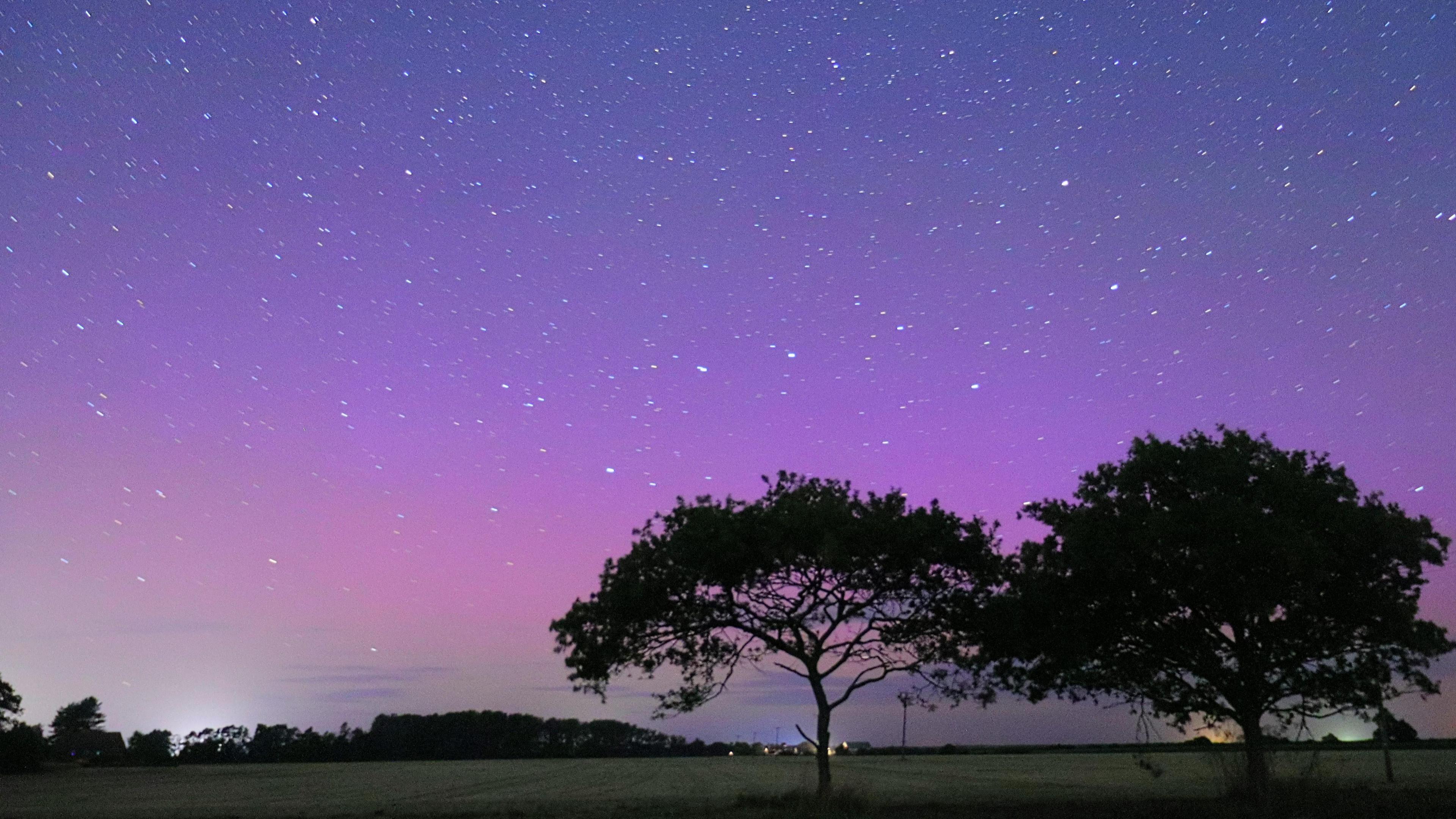 A bright purple sky lighting up an empty field, with two large trees in the foreground and a wooded area in the distance. Stars fill the sky which is darker purple at the top to lighter at the bottom