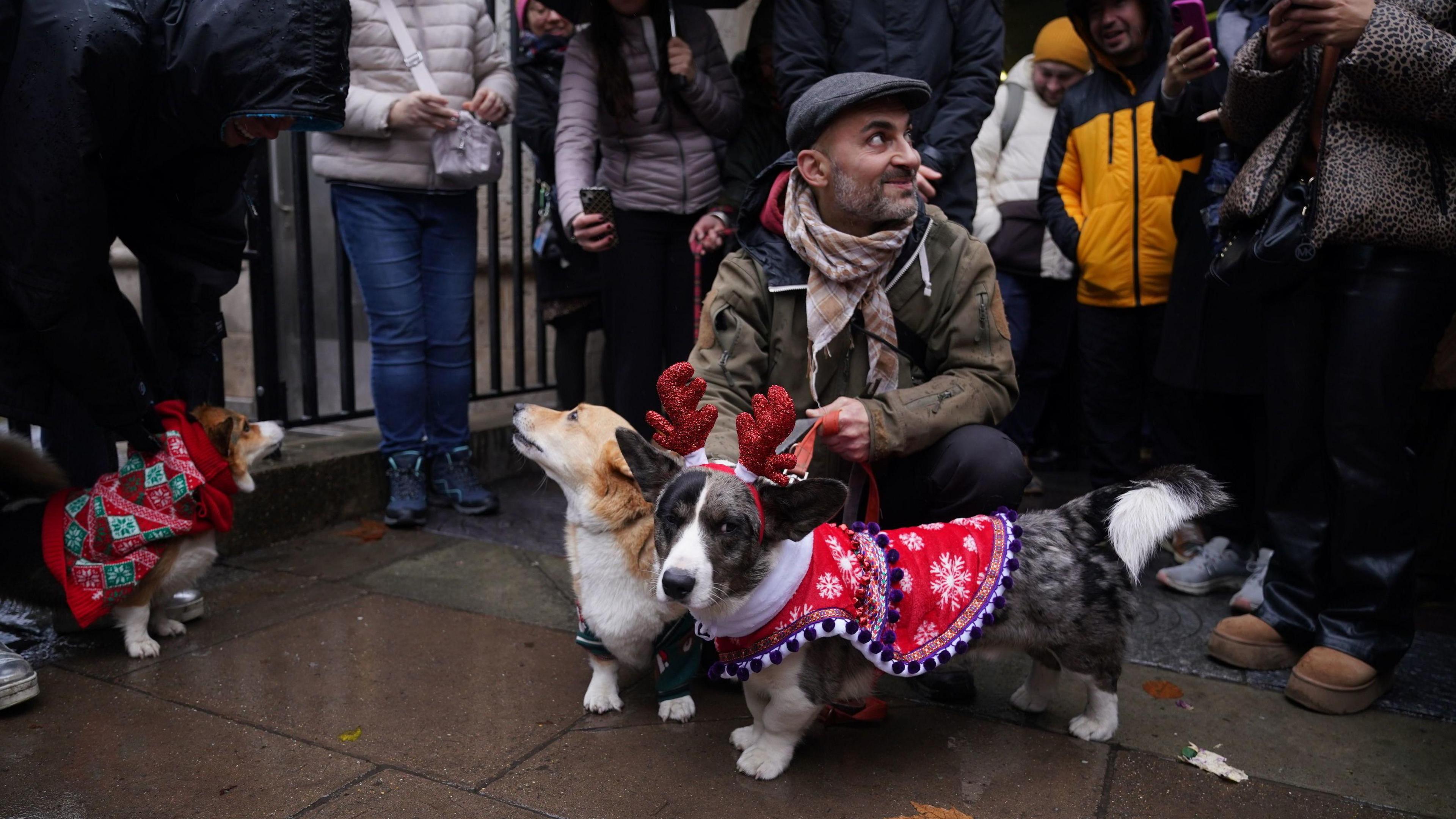 Corgi wearing a red glittery reindeer hairband and a red and white snowflake design jumper, lined with small pom poms.