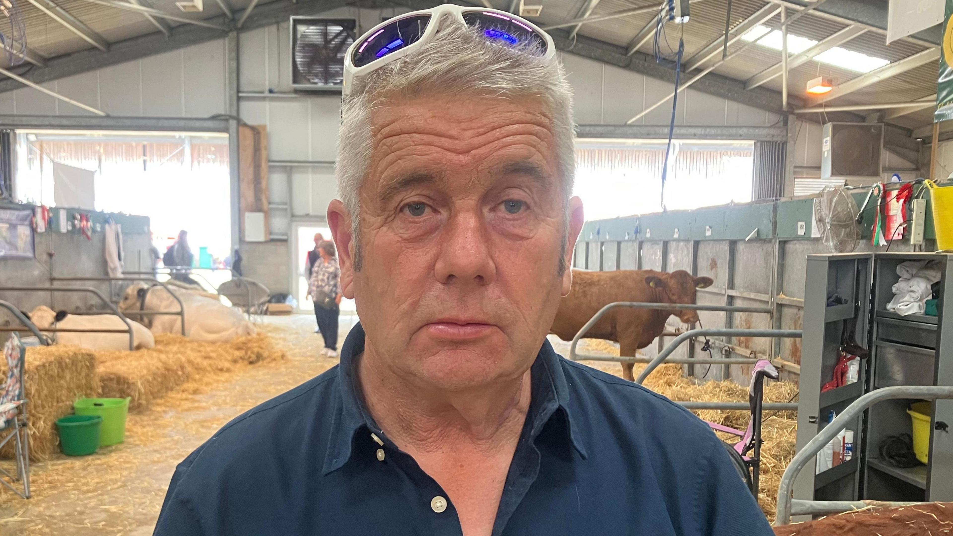 John Griffiths yn edrych tua'r camera o fewn sied wartheg ar faes y Sioe Frenhinol