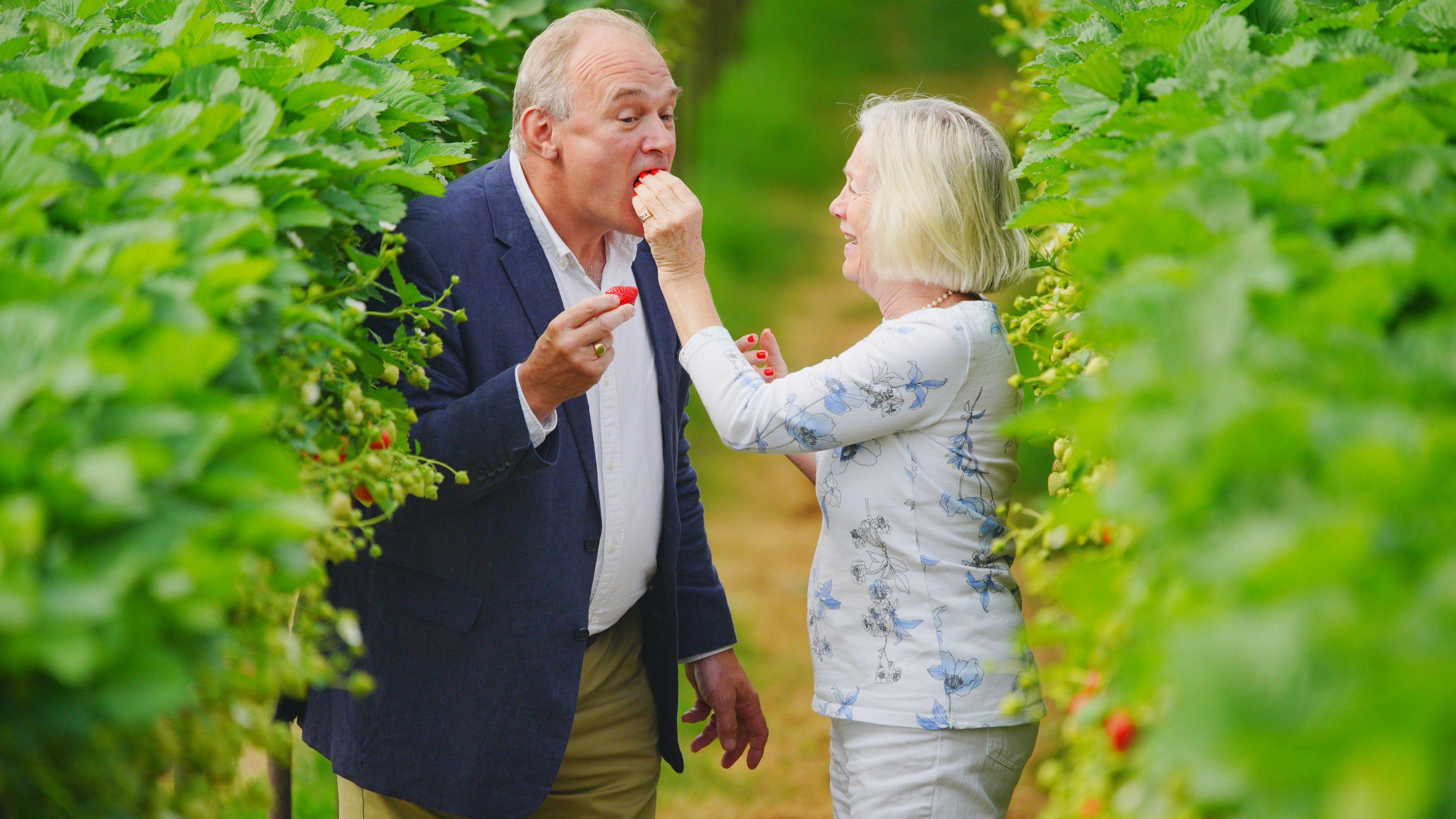 A woman is feeding a man a strawberry, standing in between strawberry plants. The man is wearing a blue suit jacket and the woman a white blouse.