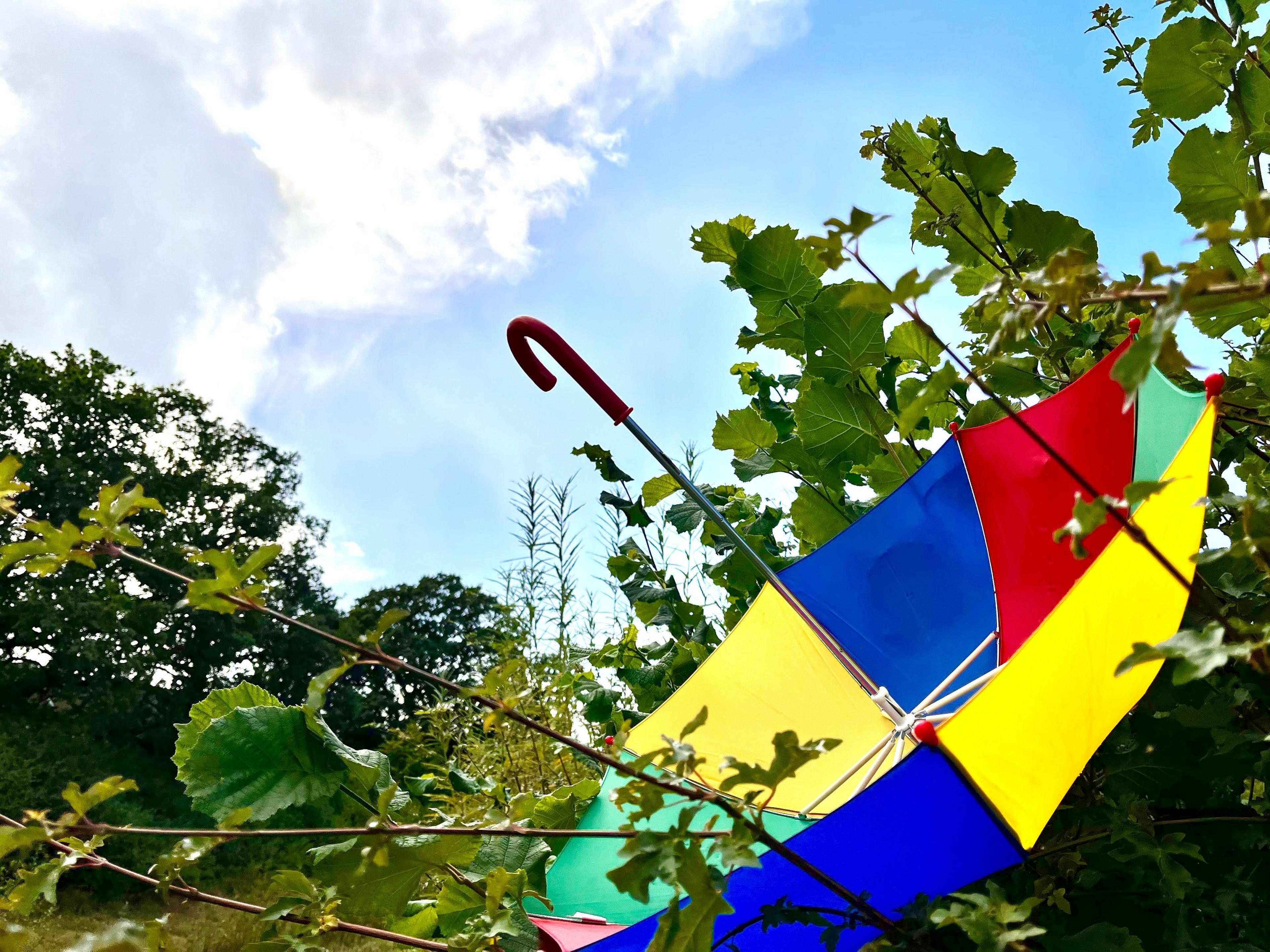 A colourful umbrella upside down in a tree