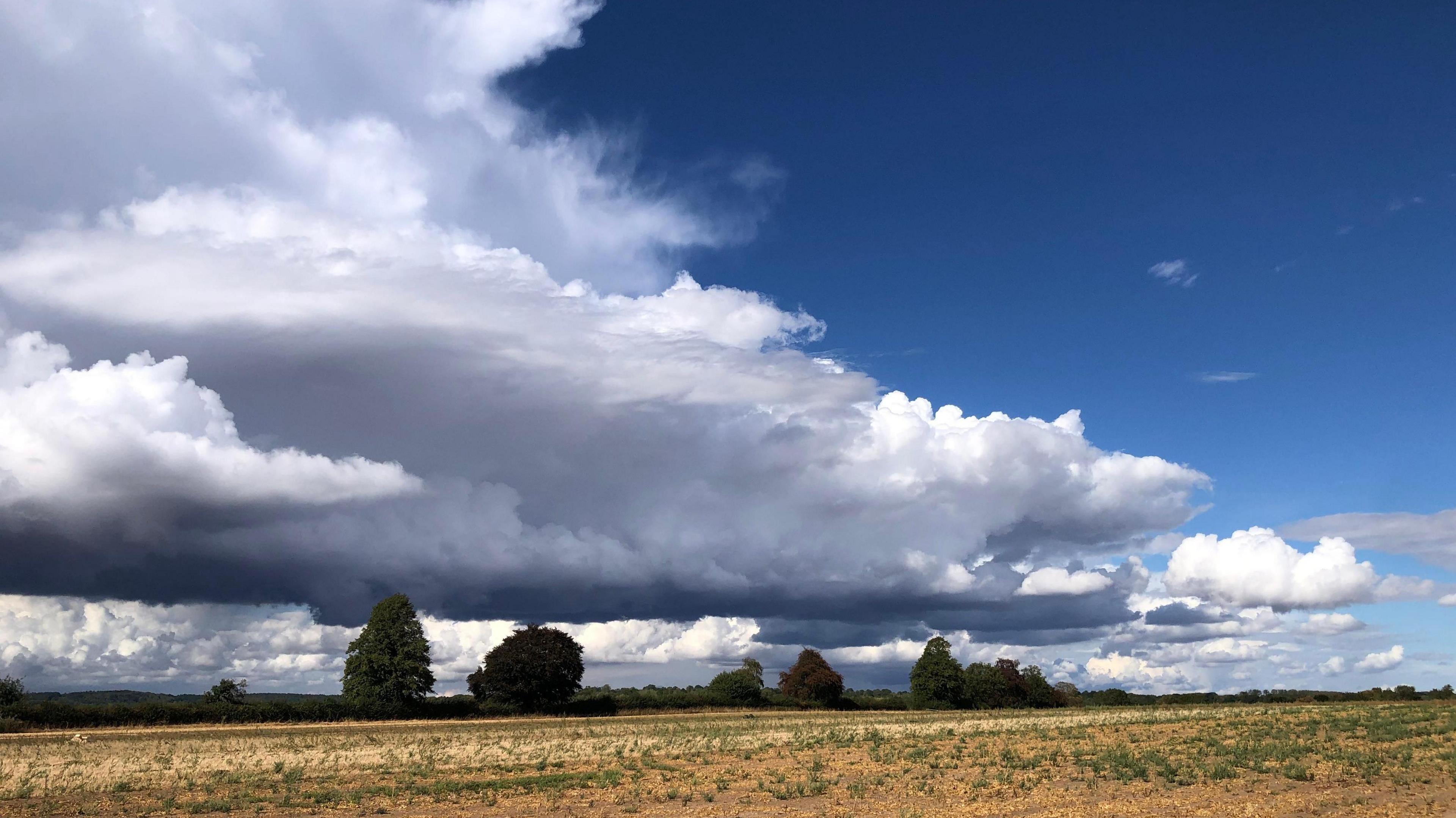 Shower cloud building above a drought hit field 