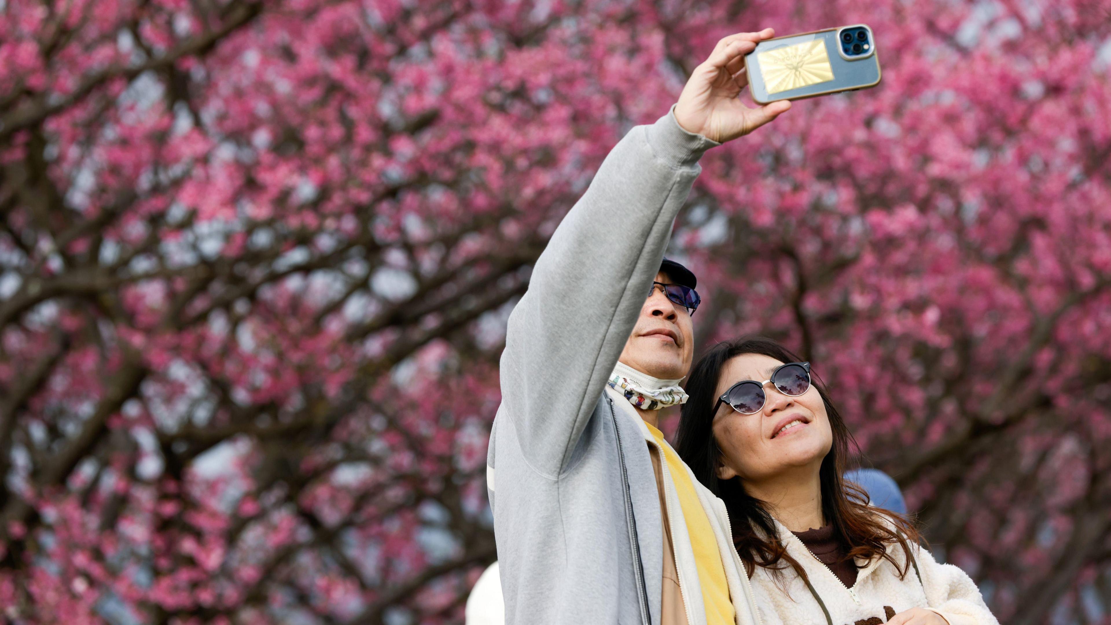 A couple hold up their phone to take a selfie with pink blossoms behind them