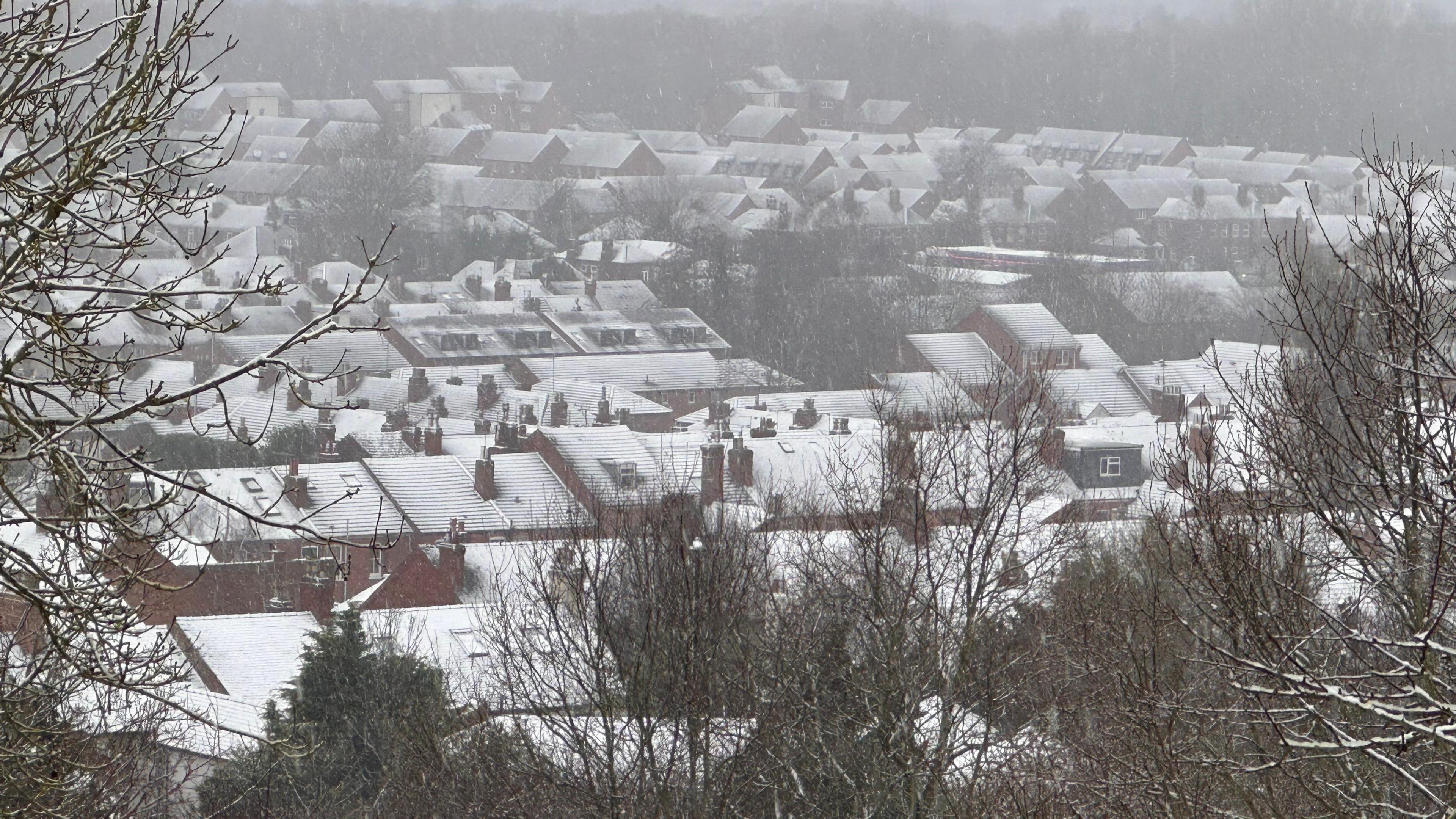 A photo of a group of houses covered in snow.