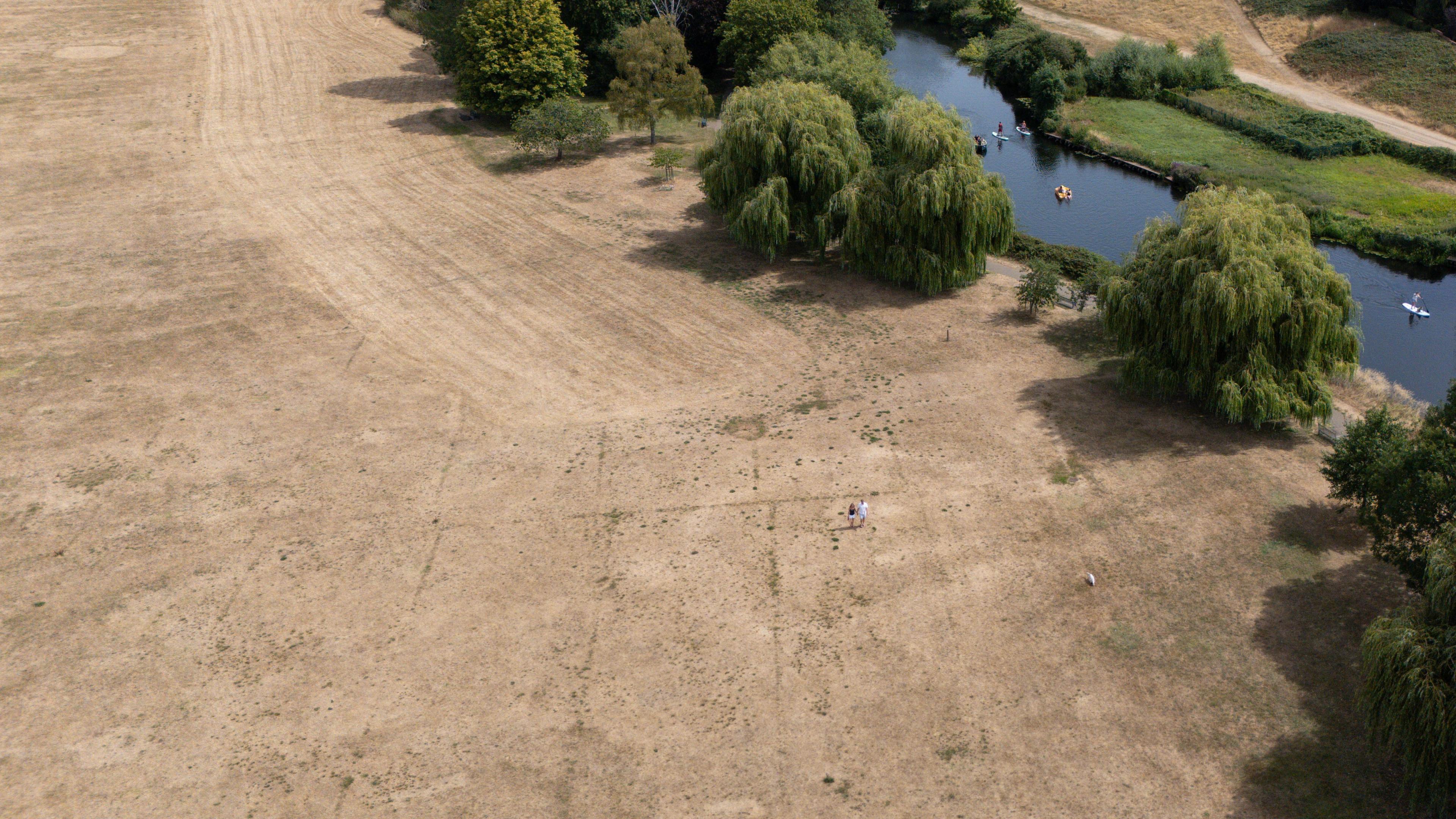 a brown field with green trees and a river in the top right hand corner.