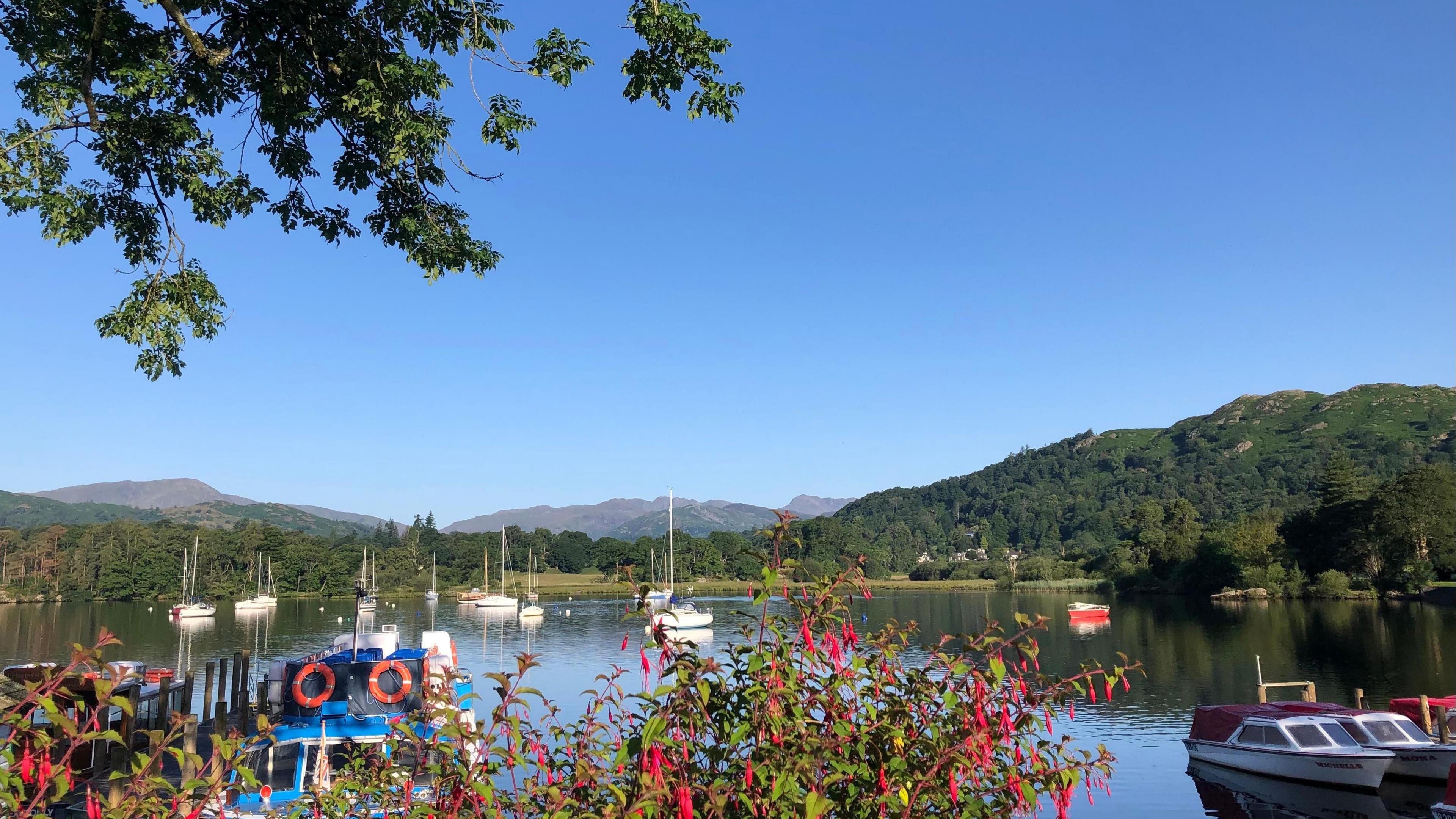 Boat marine in Ambleside on a hot sunny day. There are pink flowers in a bush in the foreground and green hills in the background. 
