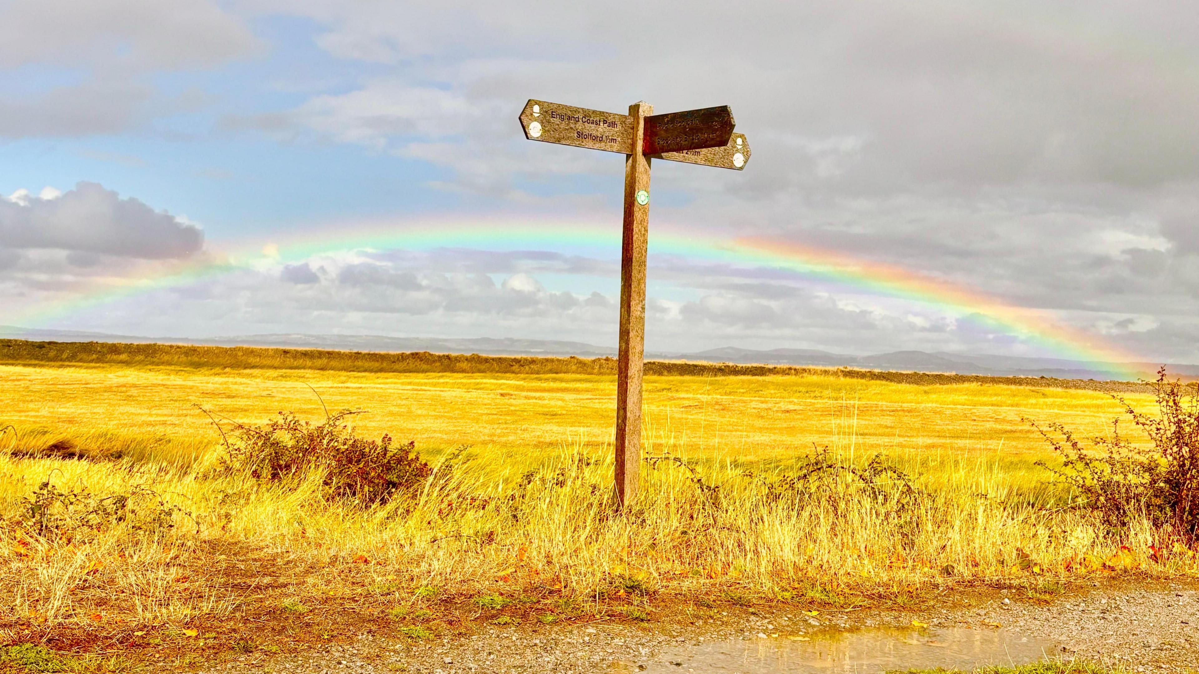 A full rainbow is seen over a yellow field. There is a signpost in the middle of the image.
