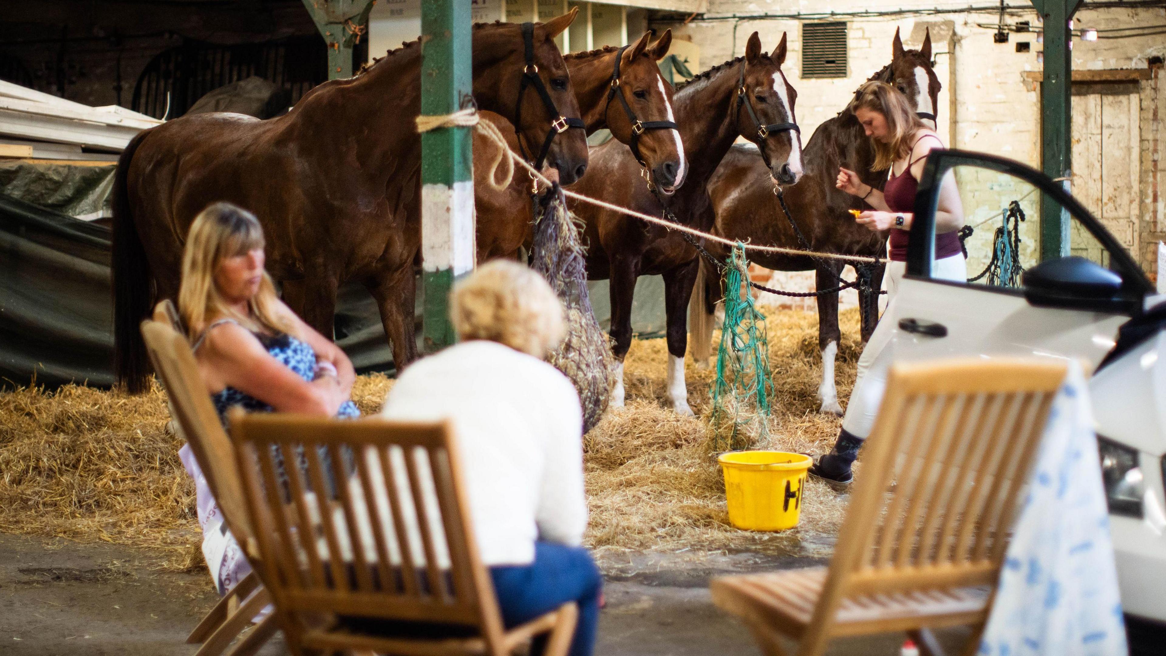 Horses from the Windsor Carriages rest after transporting guests, on day four of Royal Ascot at Ascot Racecourse, Berkshire