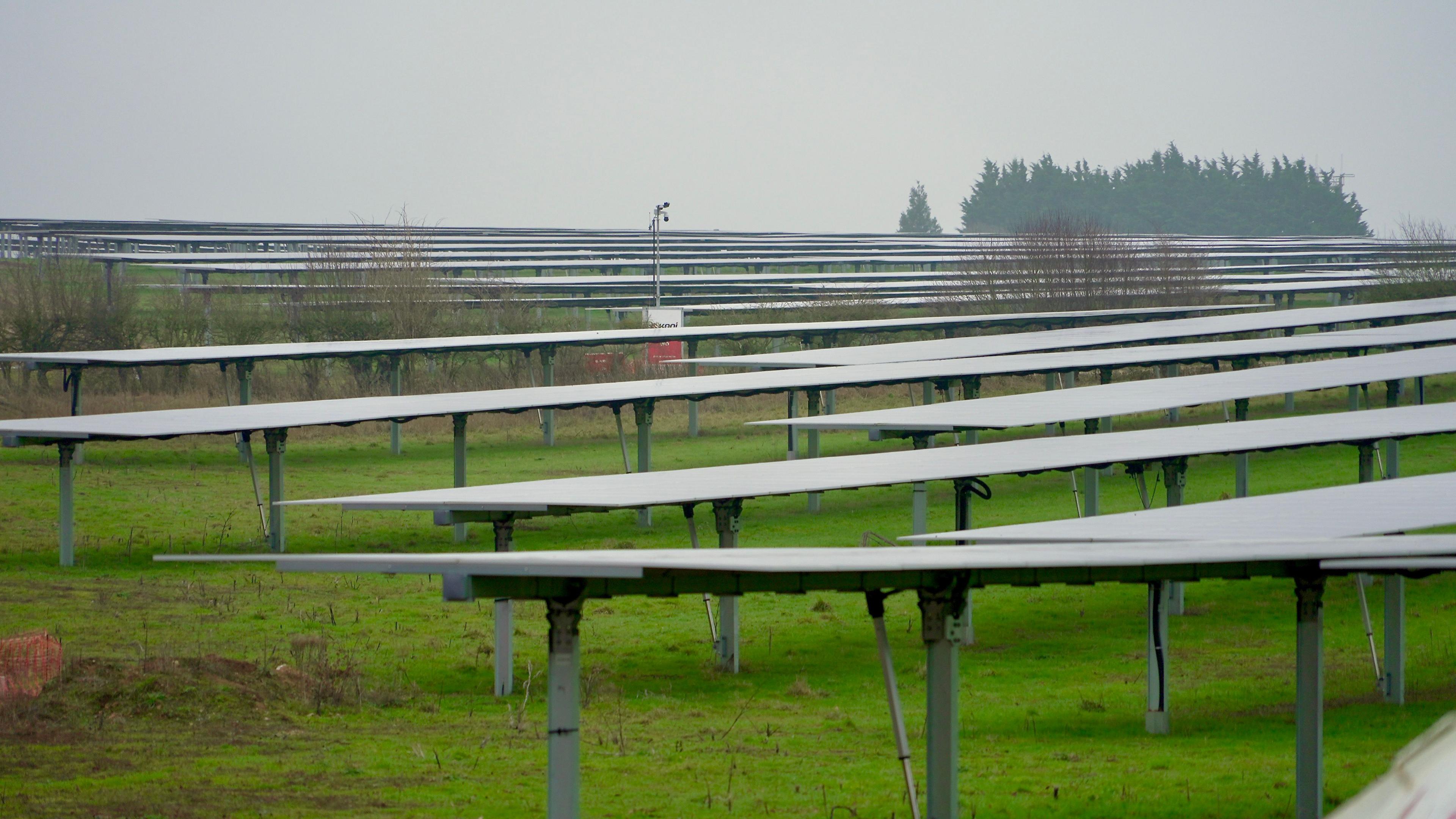 Rows of solar panels mounted on metal stilts. They are mounted a couple of metres off the ground and are arranged looking directly upwards towards the sky. The ground underneath is covered in short grass. A copse of trees can be seen on the horizon on the right of the image. The sky is grey and overcast.