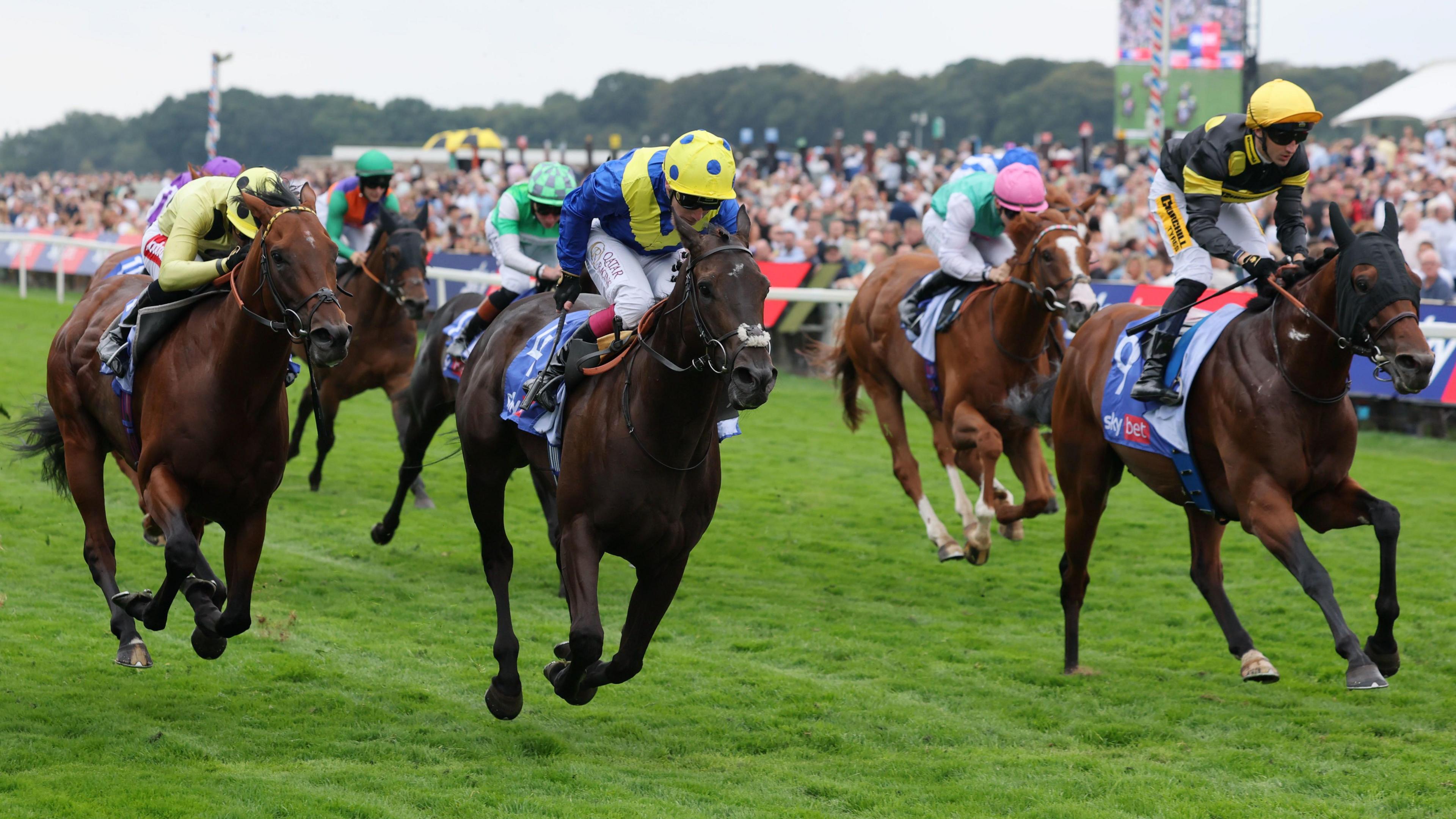 Five brown horses running on a grassy race track, being ridden by jockeys in brightly coloured clothes. There's a crowd of people lining the track.