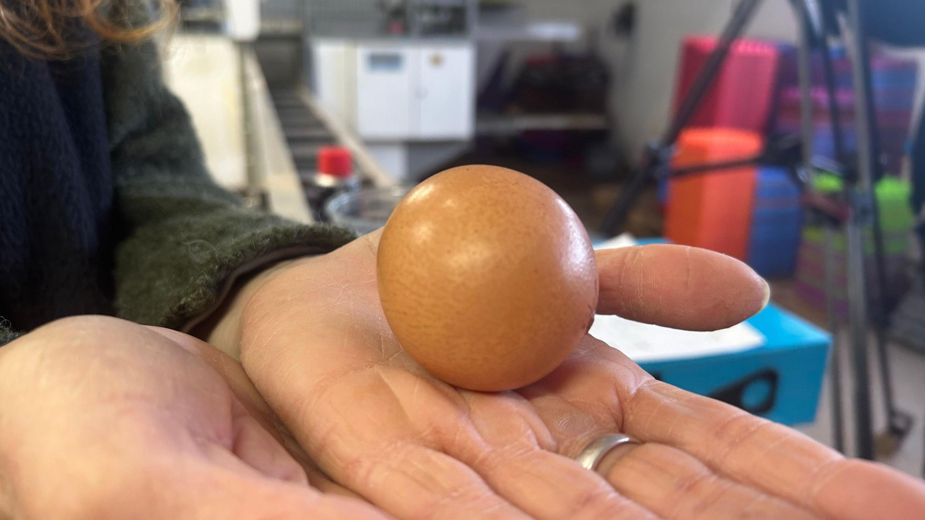 The brown medium sized egg is pictured in Ms Greene's hands. 