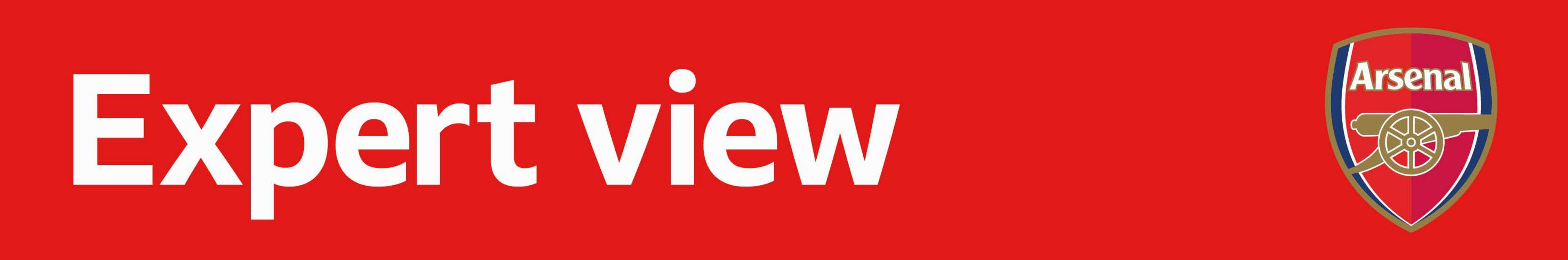 Expert View banner