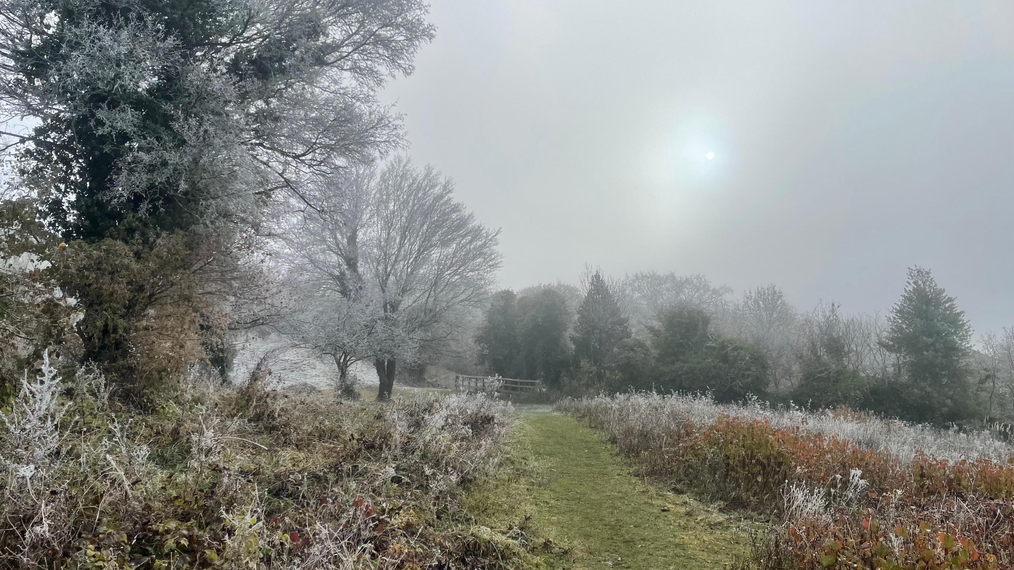 Frost in Luton