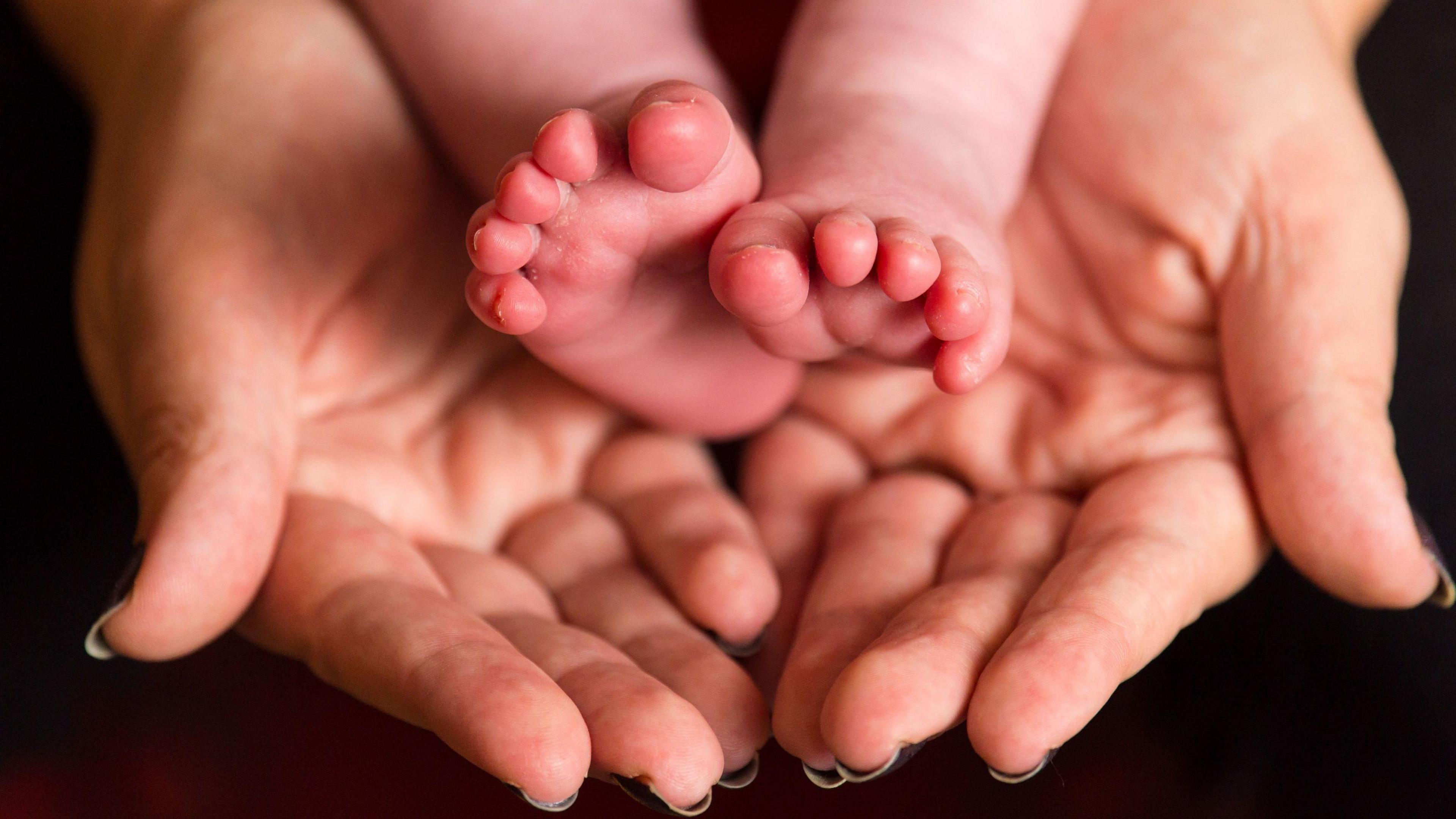 The feet of a baby being supported by the open palms of a woman's hands.