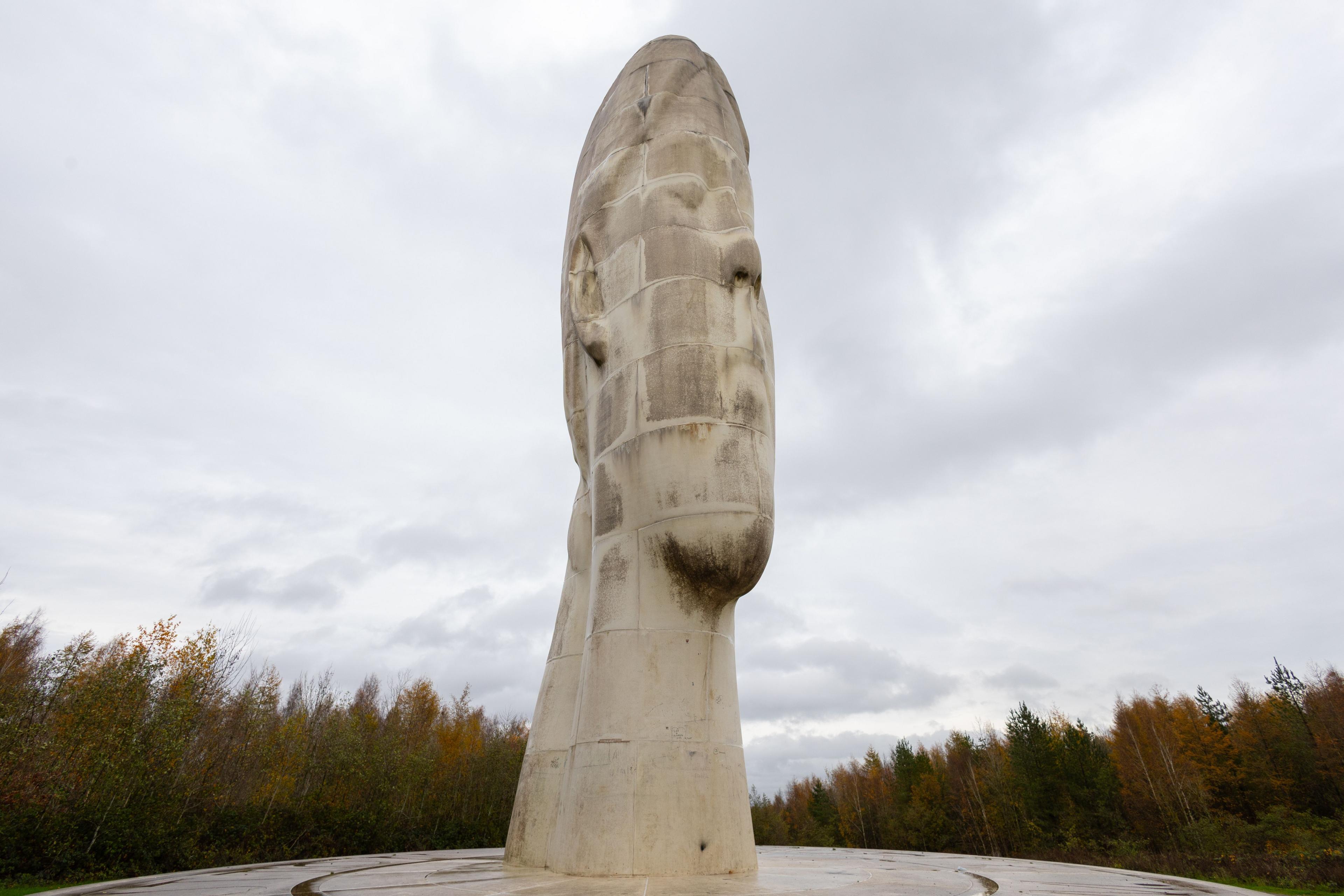The Dream sculpture is a 66ft (20m) white sculpture said to resemble the head and neck of a young girl. It towers above nearby trees.