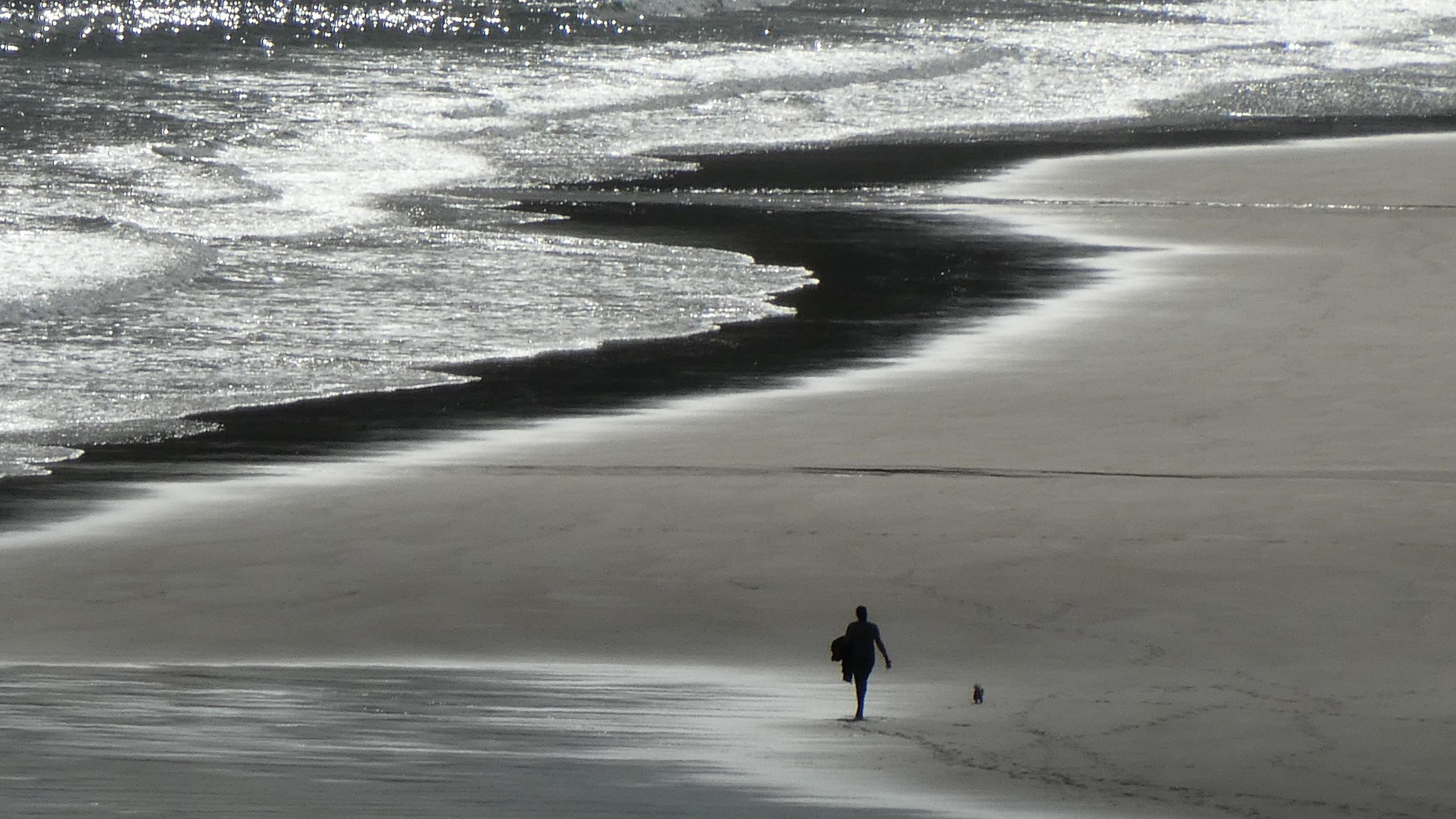 The silhouette of a woman and dog walking along a beach.