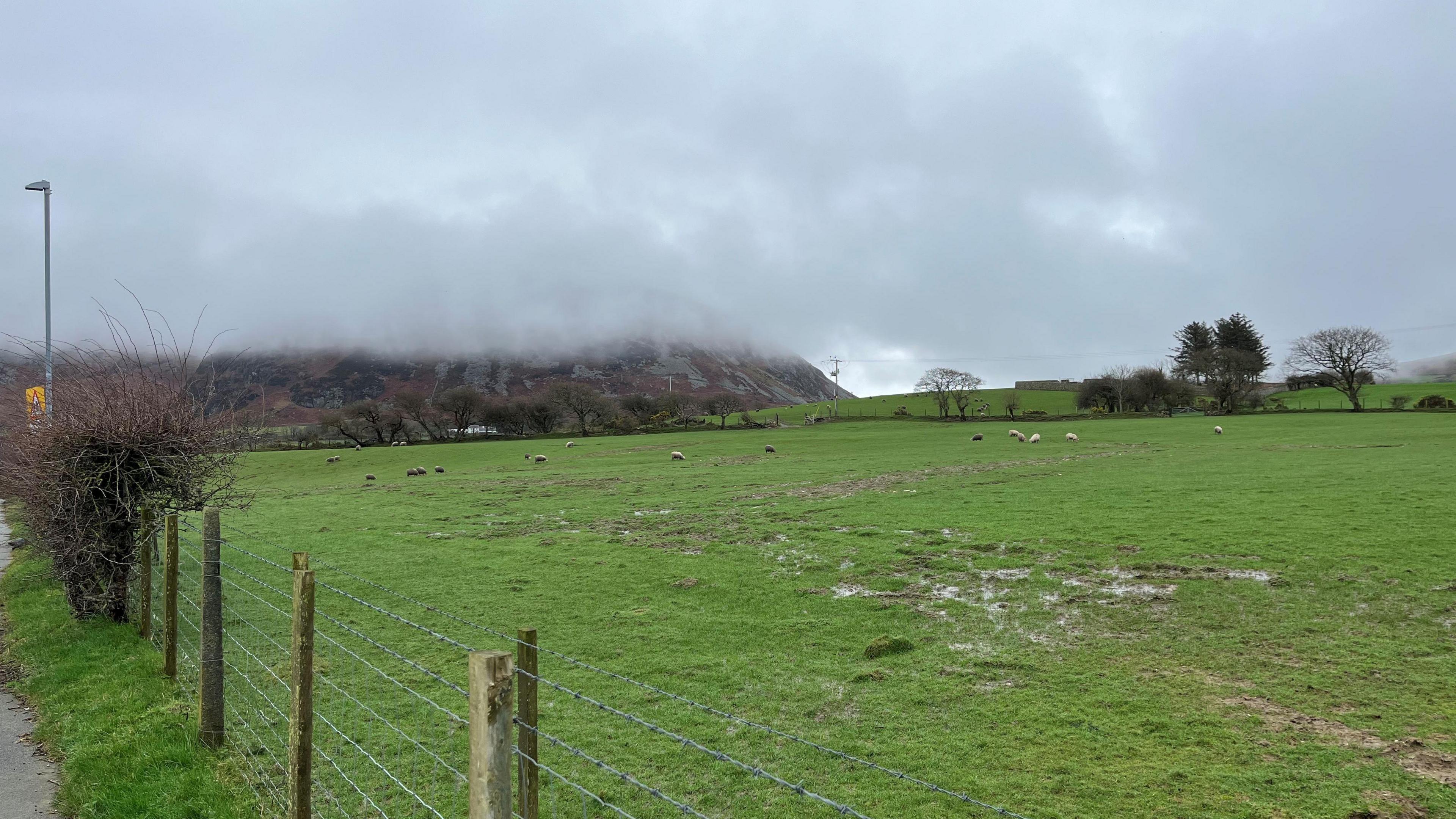 Llun o'r cae mae'r cais i ddatblygu 15 dai yn Nhrefor