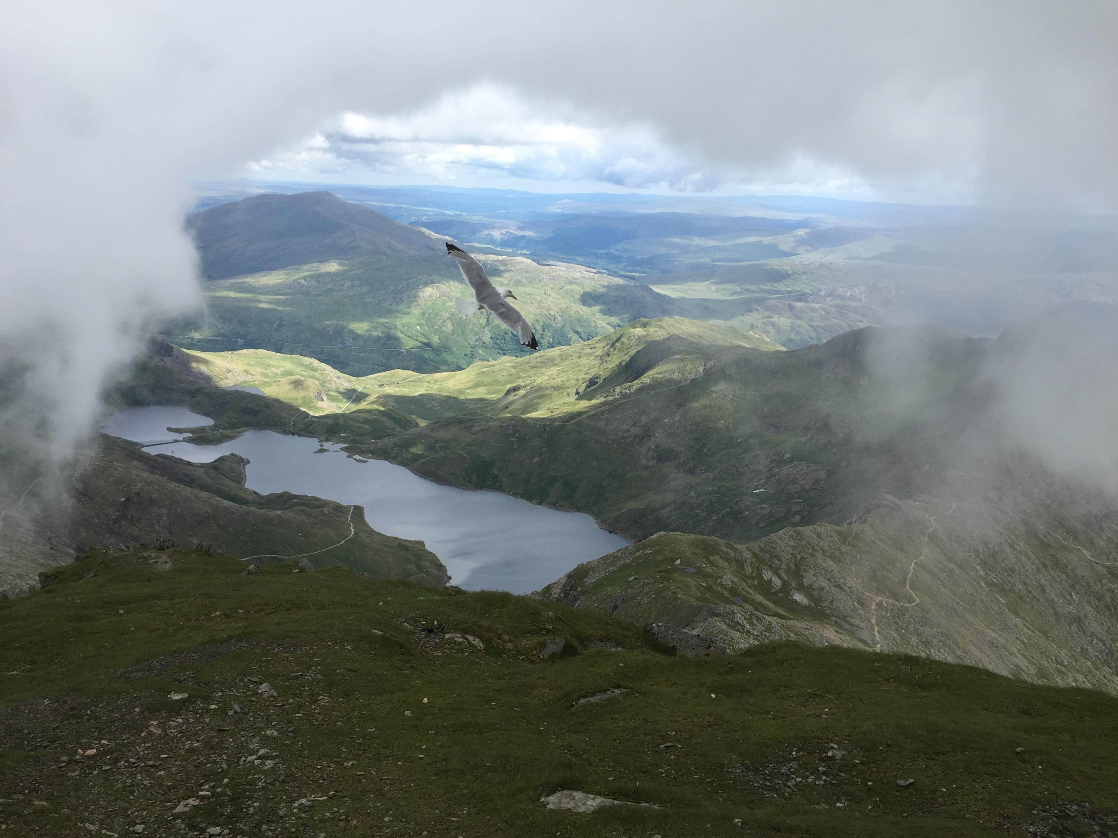 The clouds cleared on the summit of Snowdon to reveal a seagull on the wing and countryside below